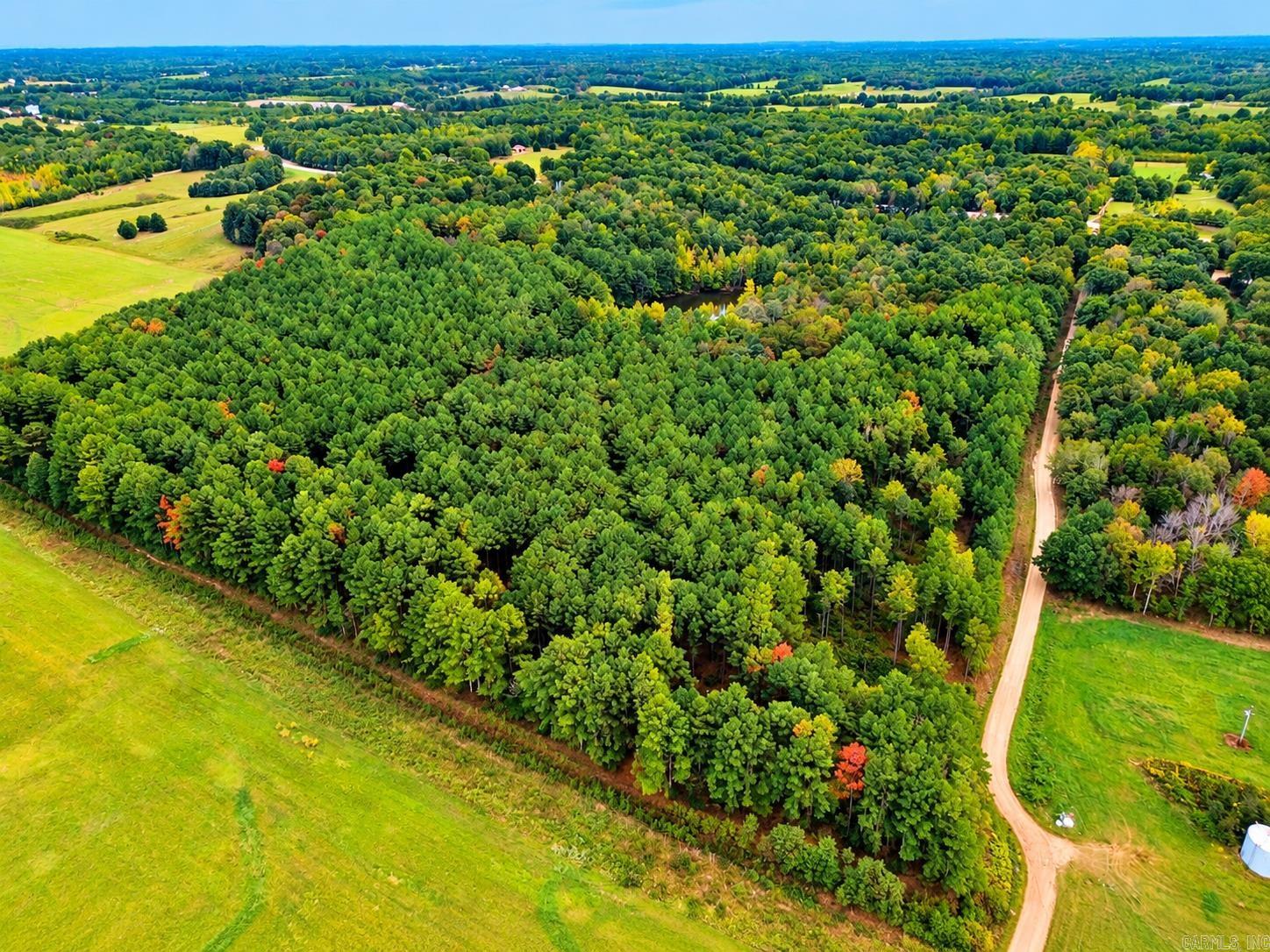 Cr 331 Hwy 62 Property Photo 3