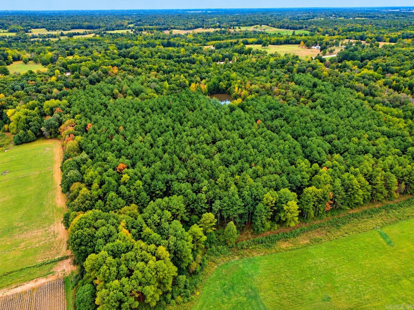 Cr 331 Hwy 62 Property Photo 4