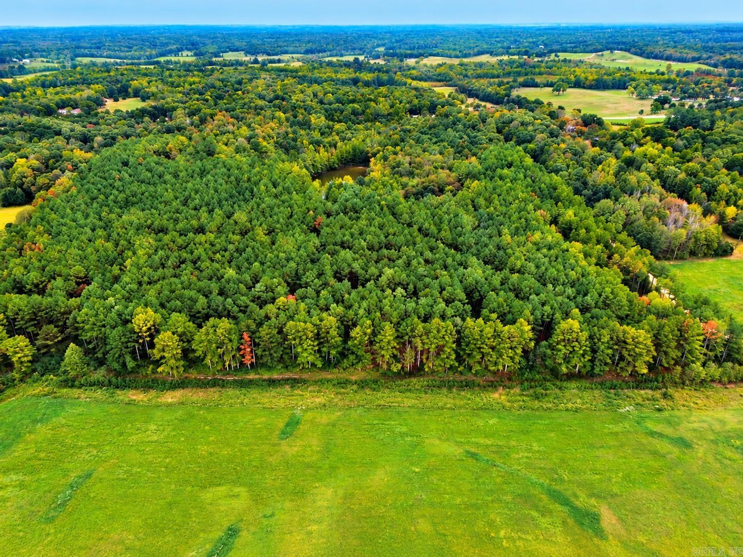 Cr 331 Hwy 62 Property Photo 6