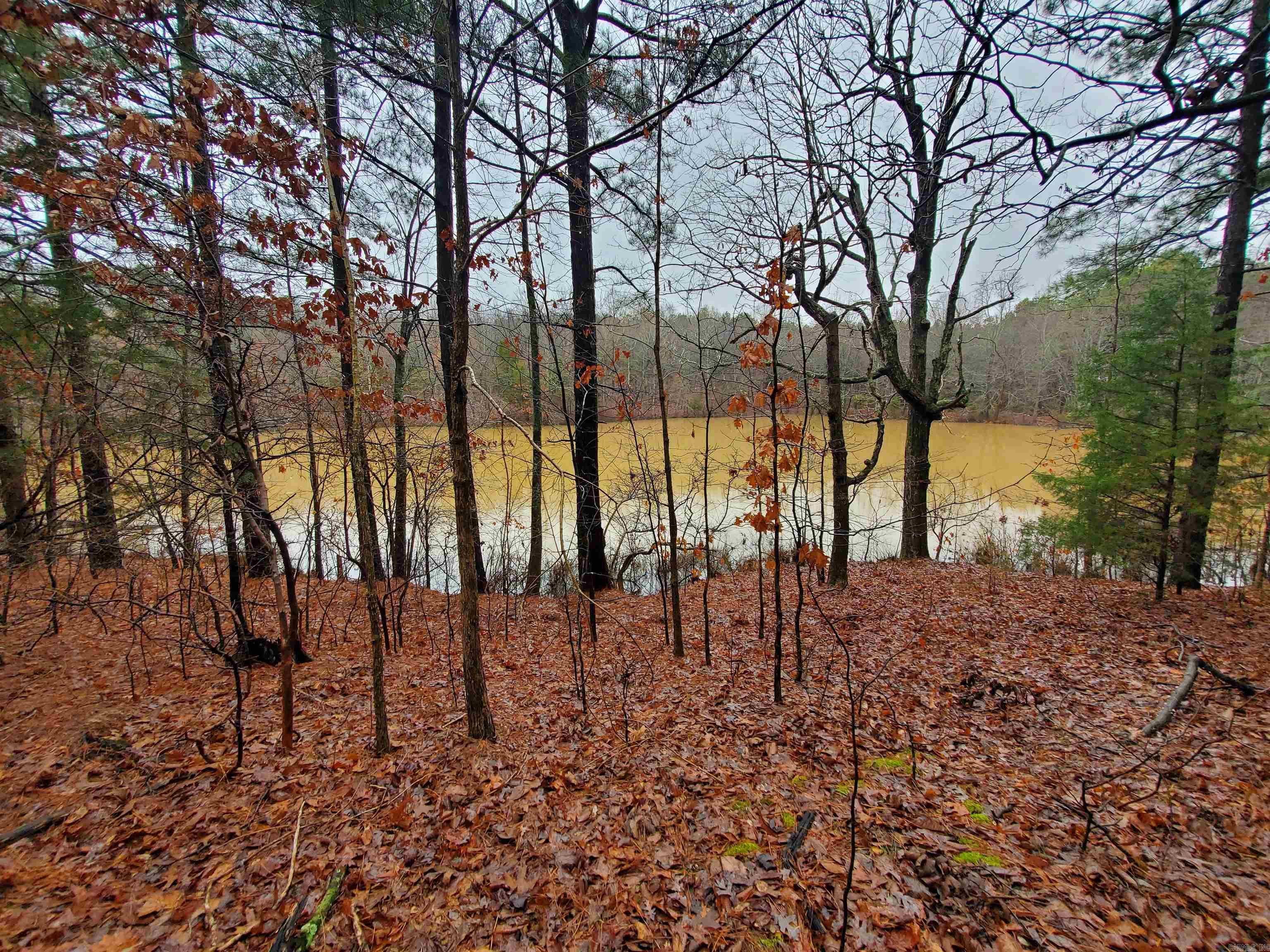 Cr 331 Hwy 62 Property Photo 7