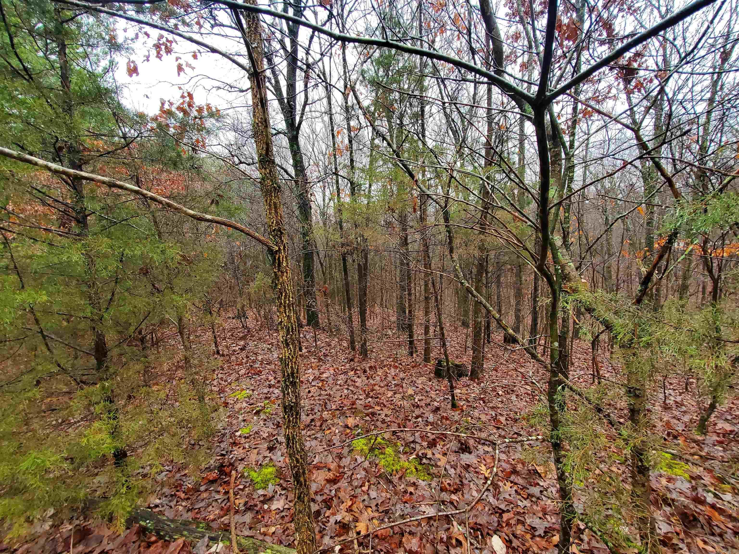 Cr 331 Hwy 62 Property Photo 8