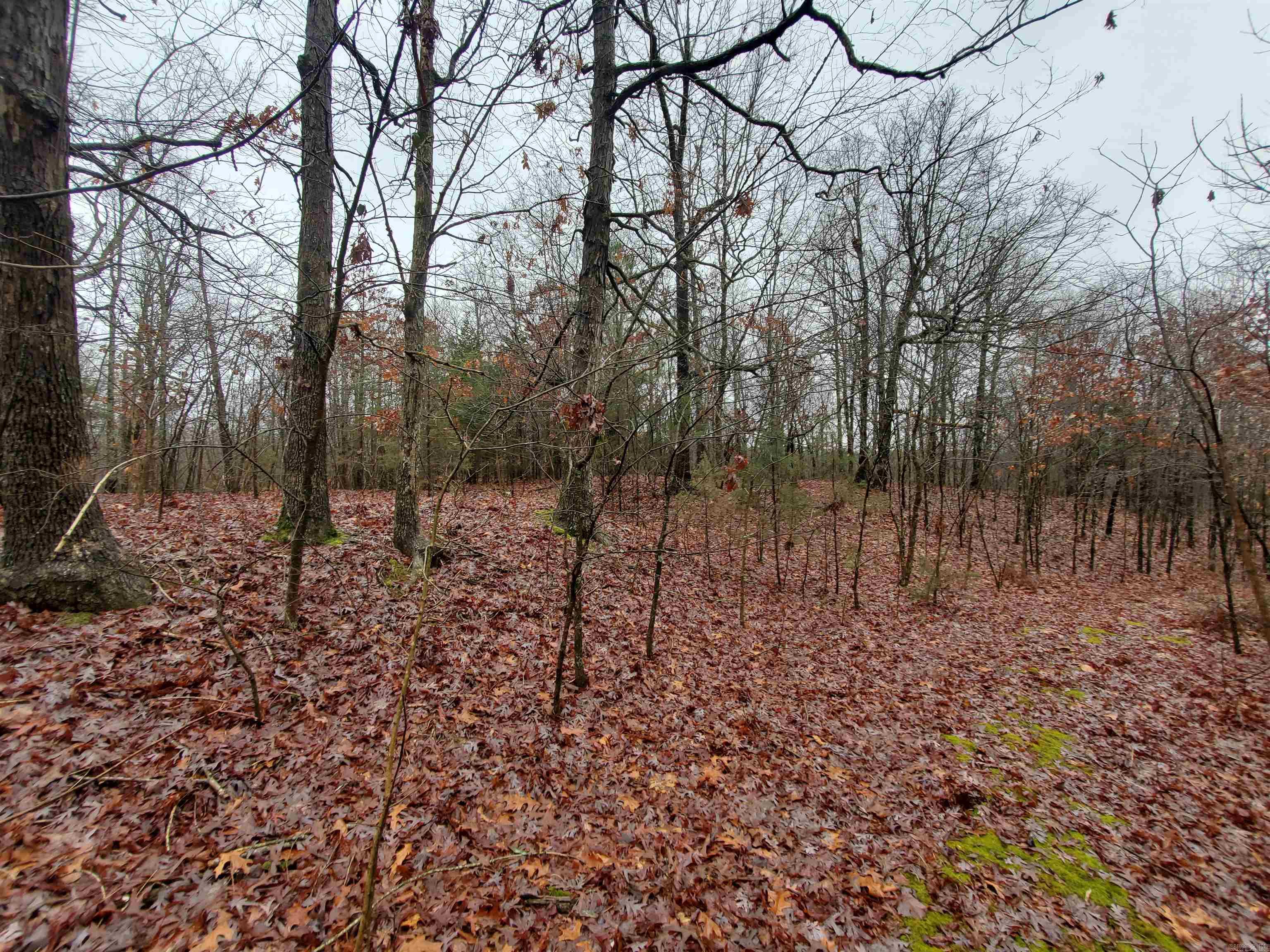Cr 331 Hwy 62 Property Photo 10