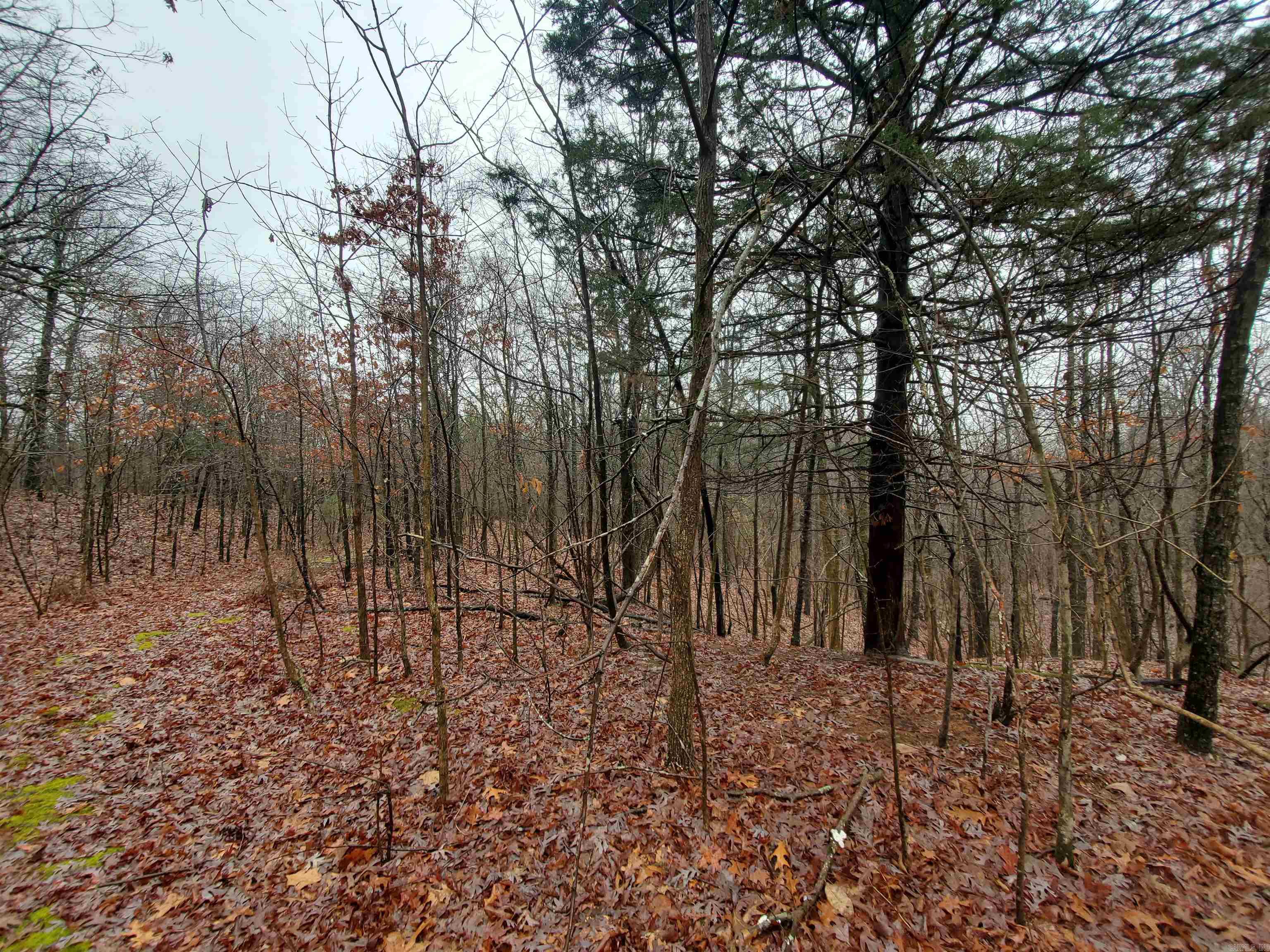Cr 331 Hwy 62 Property Photo 11