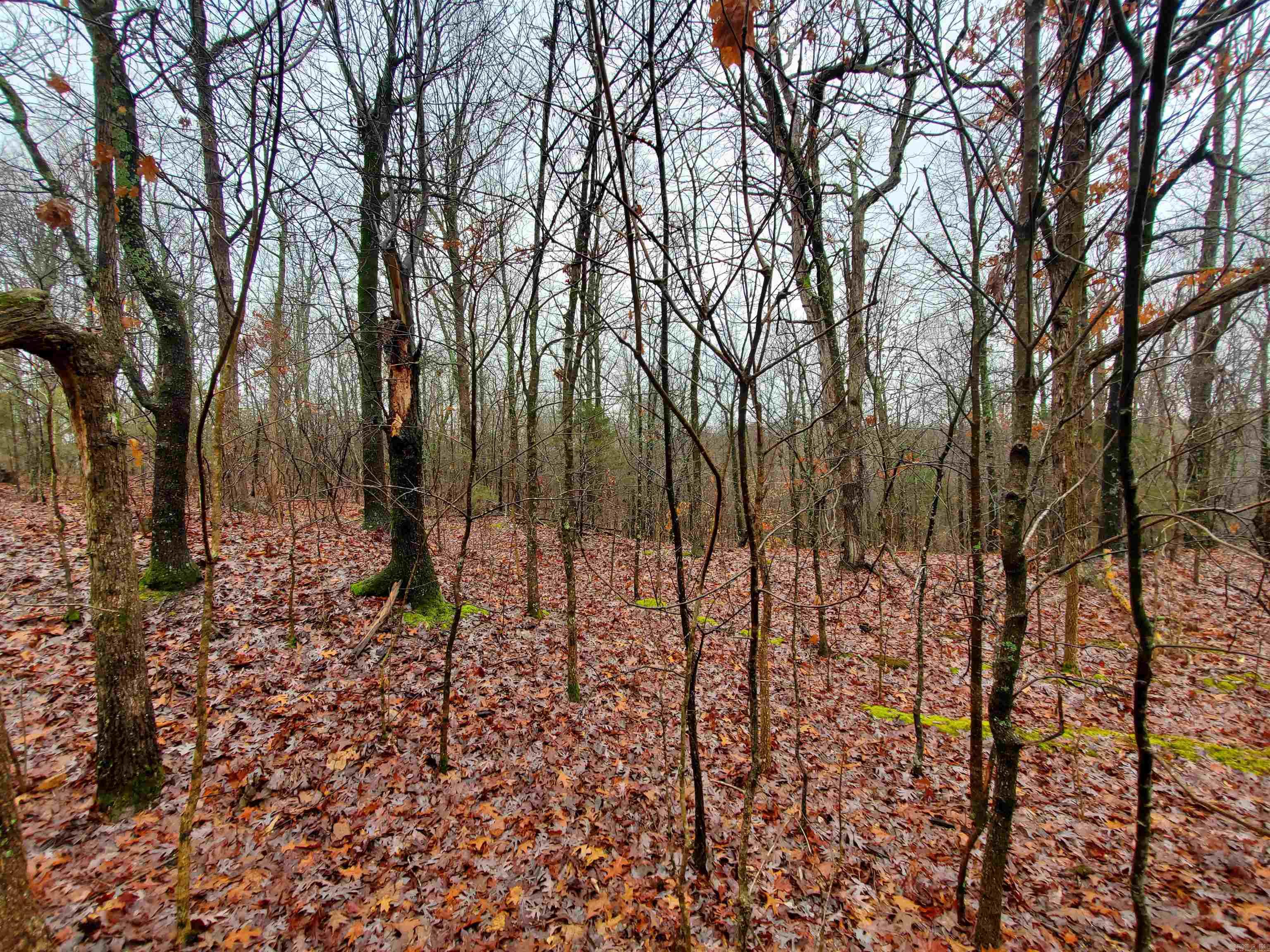 Cr 331 Hwy 62 Property Photo 12