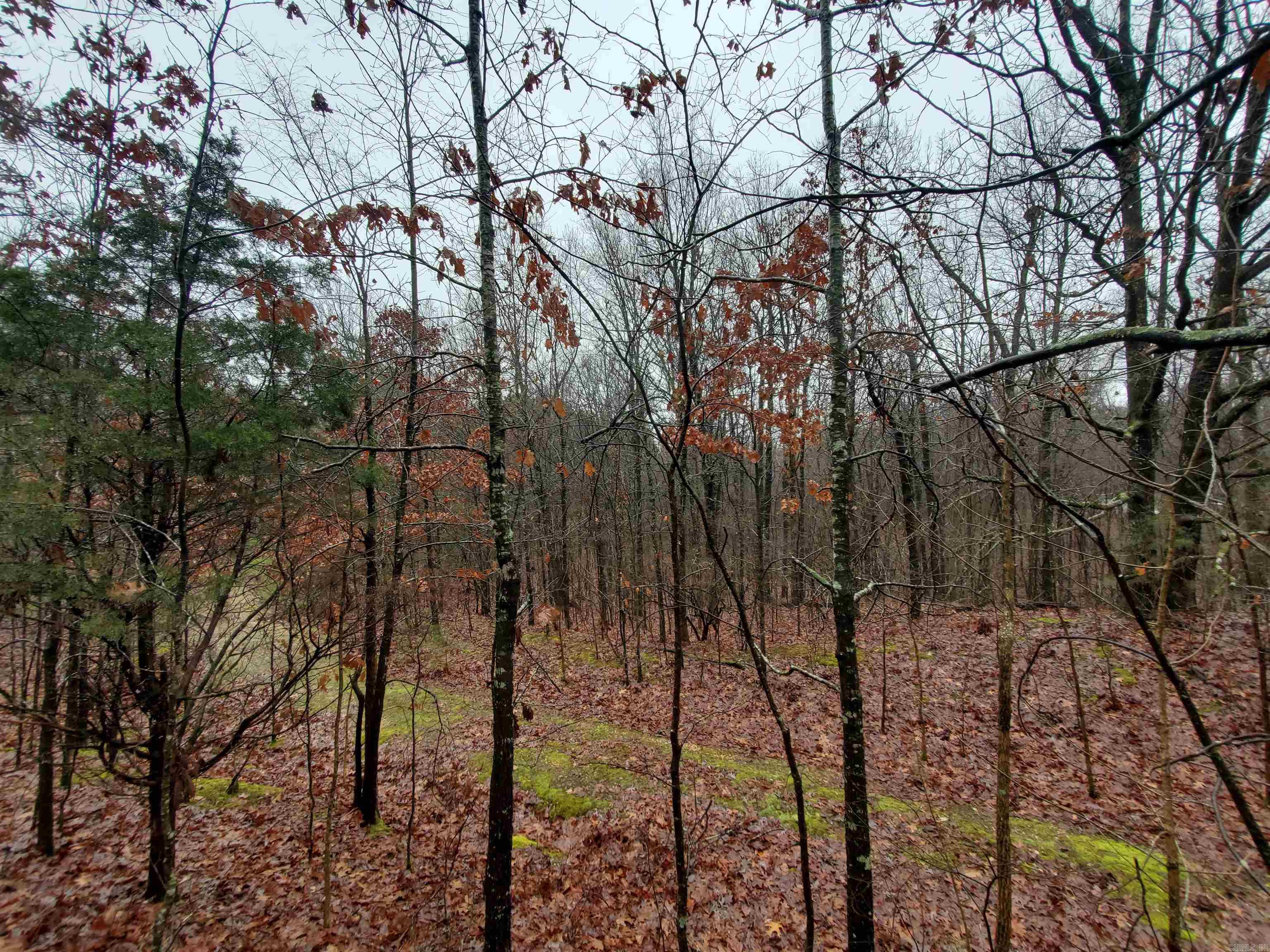 Cr 331 Hwy 62 Property Photo 13