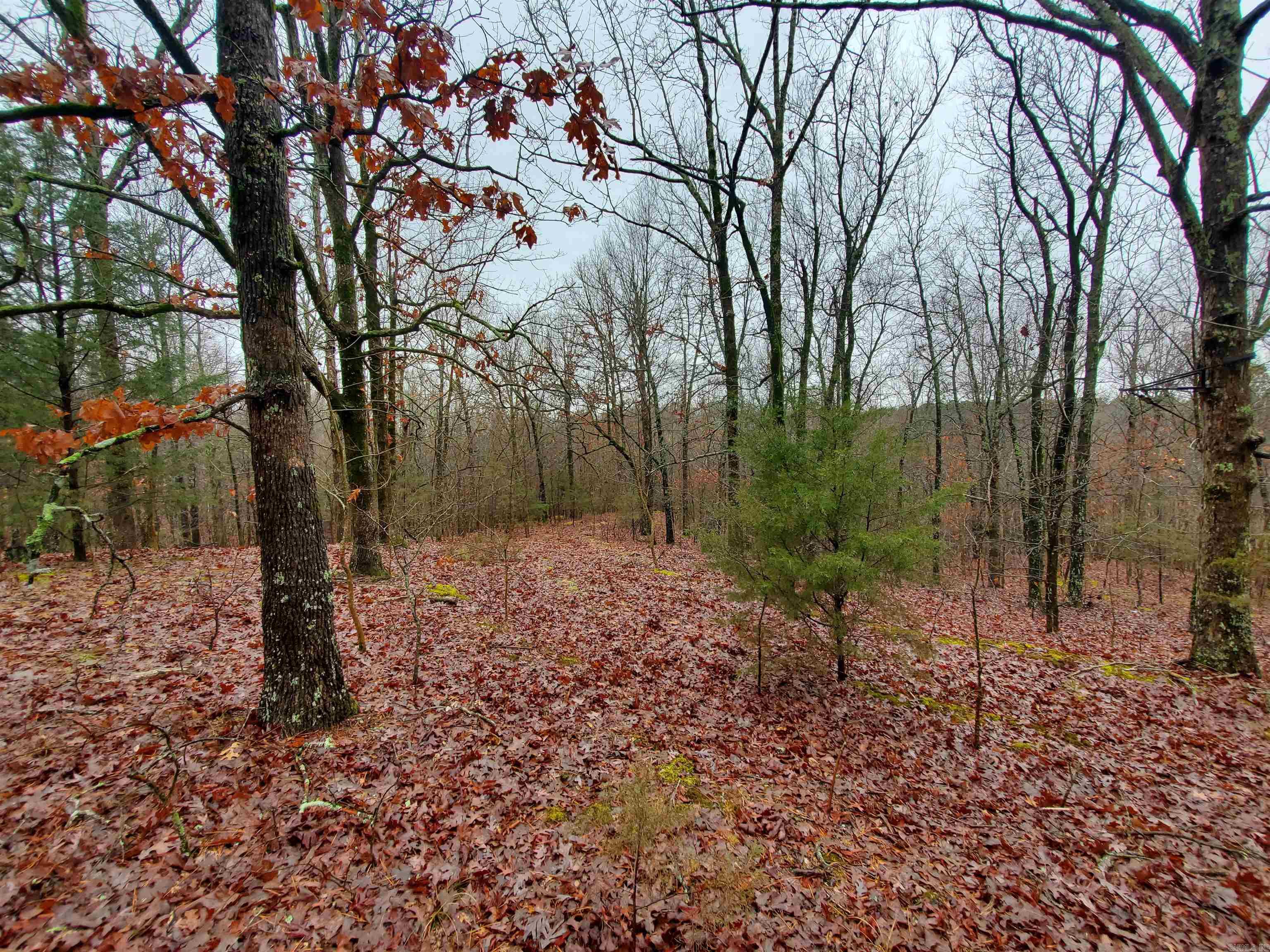 Cr 331 Hwy 62 Property Photo 14
