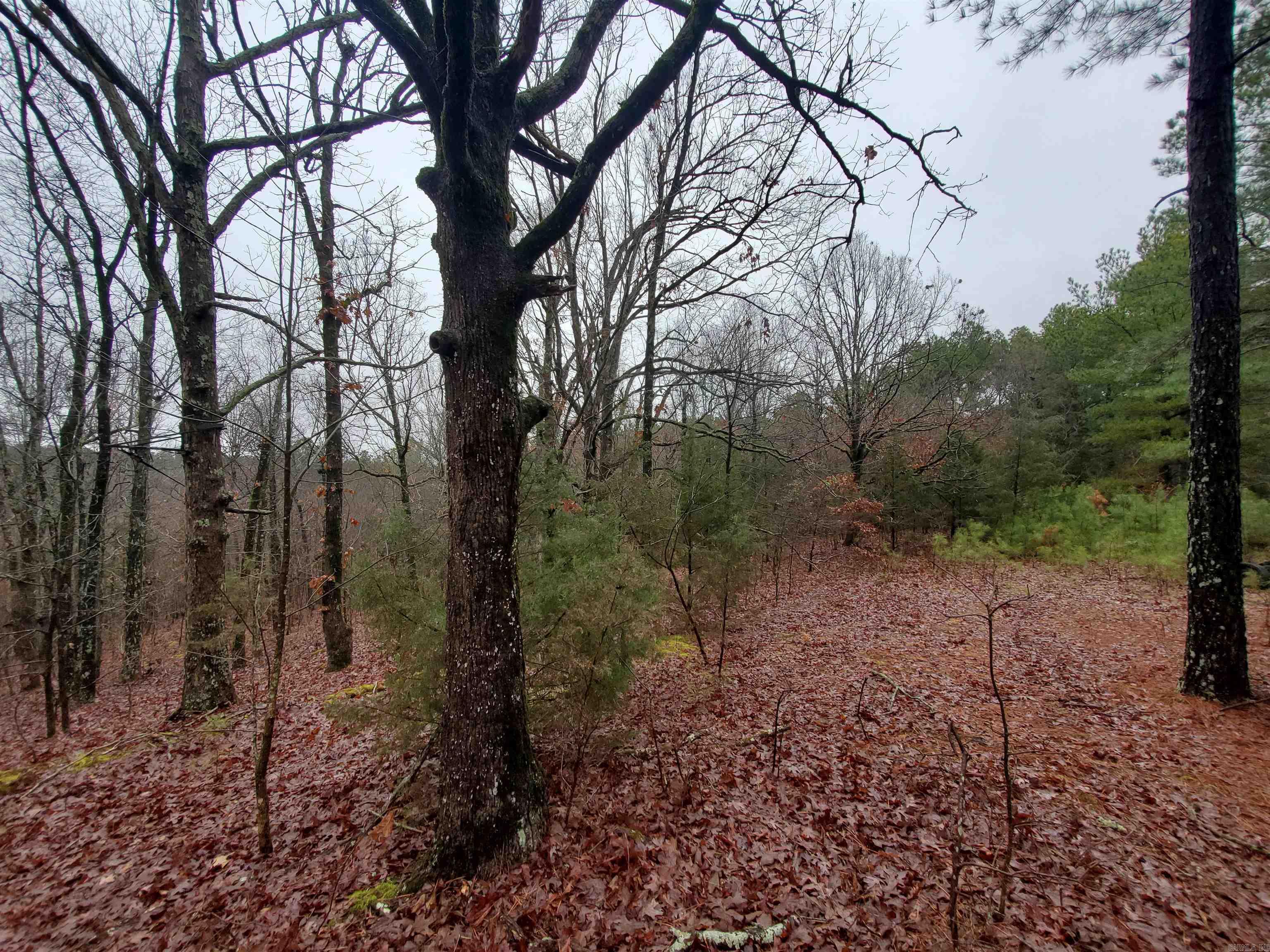 Cr 331 Hwy 62 Property Photo 15
