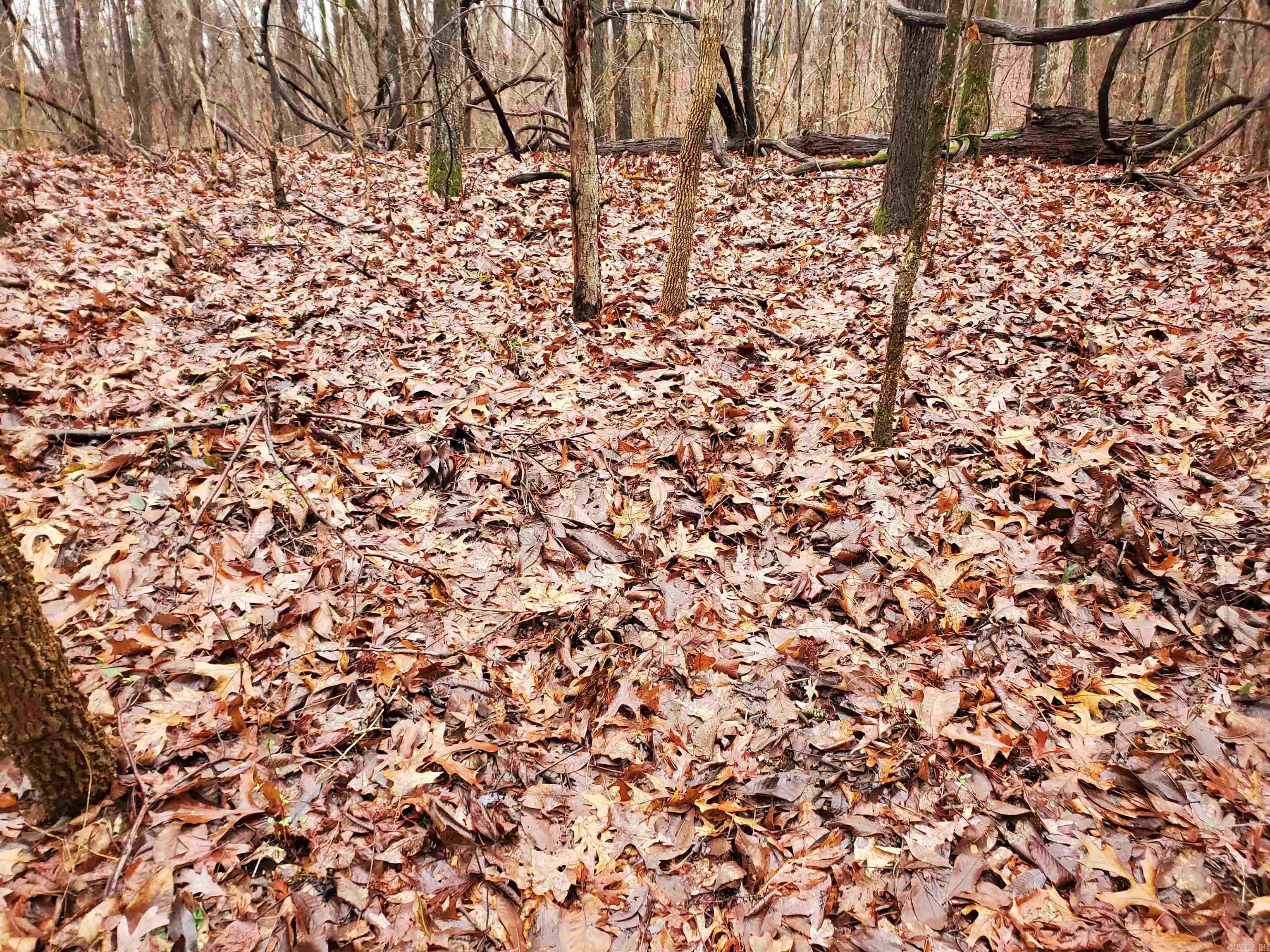 Cr 331 Hwy 62 Property Photo 17