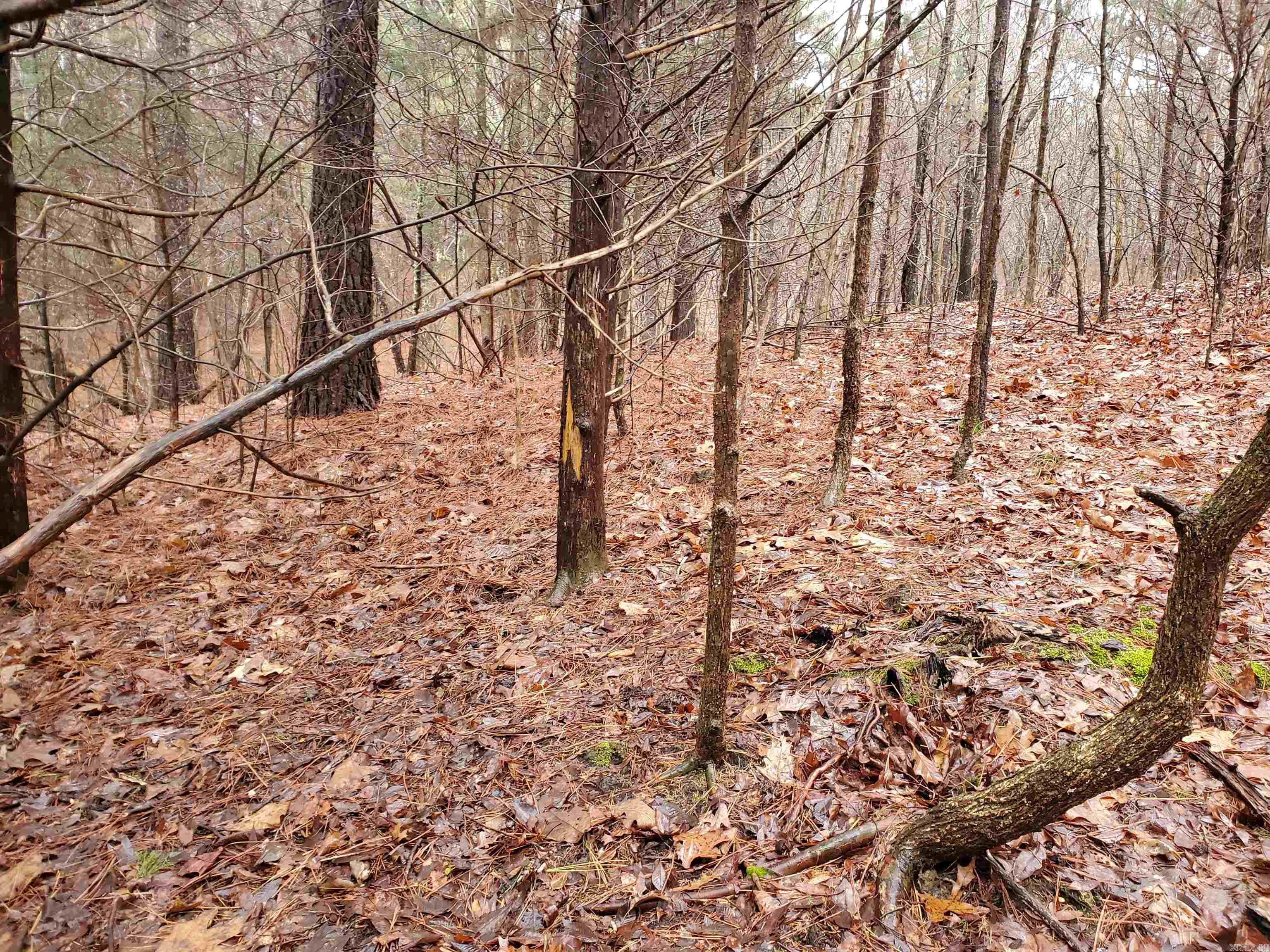 Cr 331 Hwy 62 Property Photo 25