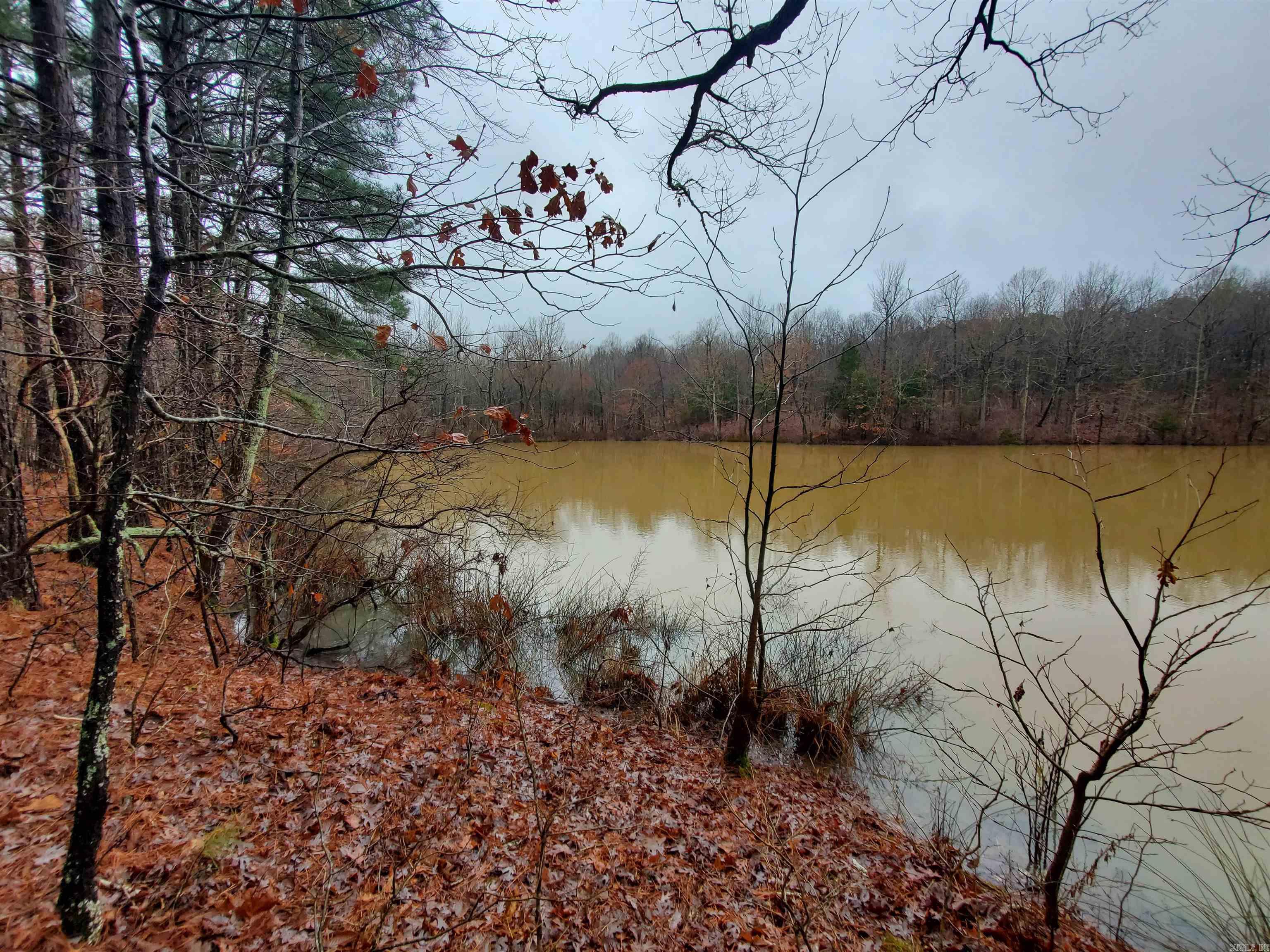 Cr 331 Hwy 62 Property Photo 26
