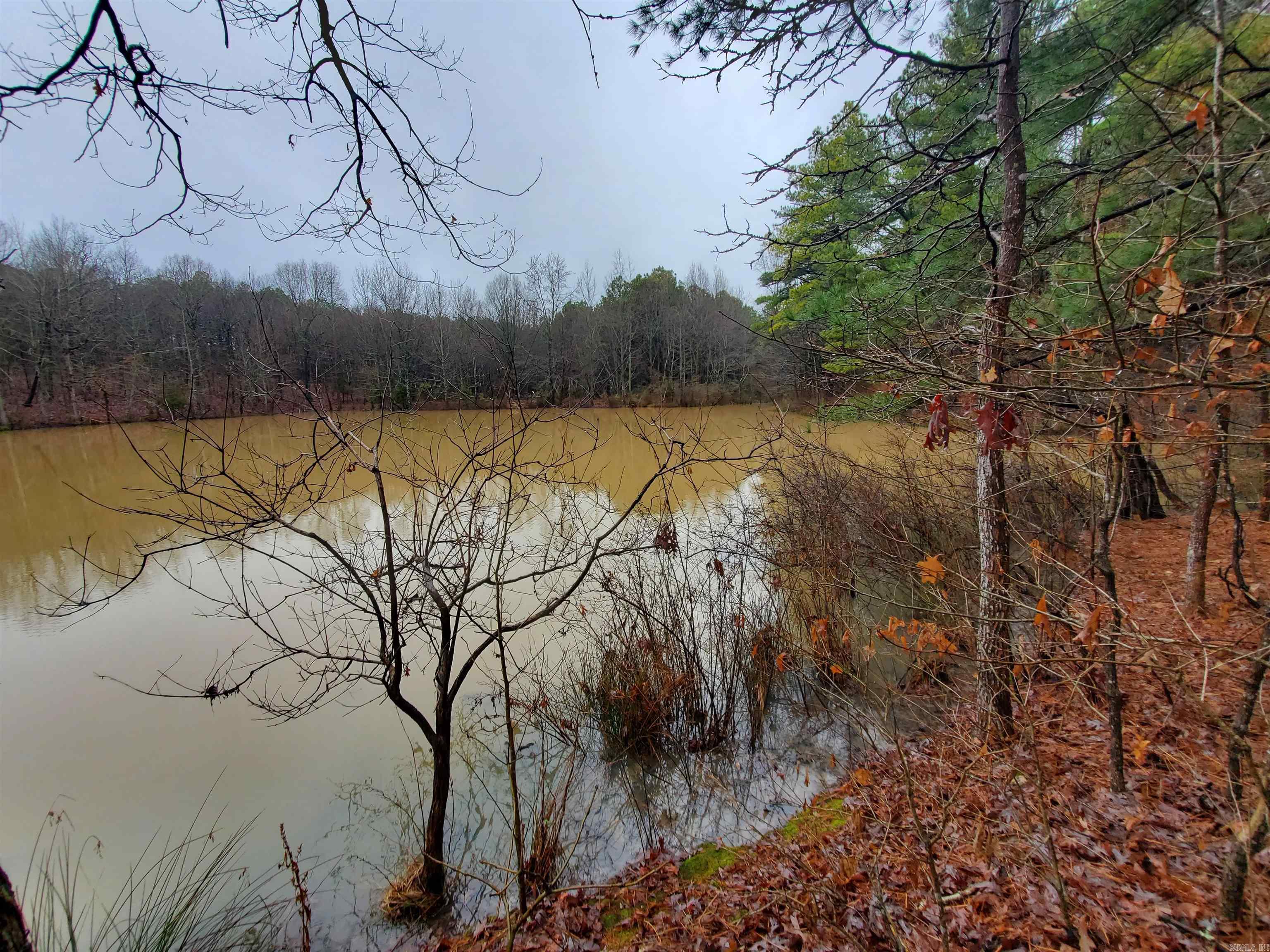 Cr 331 Hwy 62 Property Photo 27