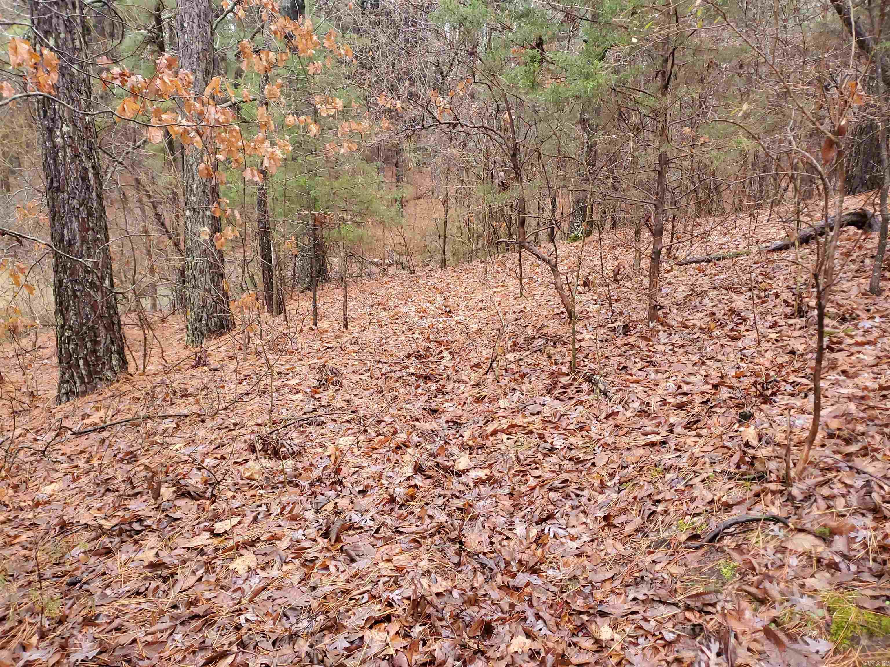 Cr 331 Hwy 62 Property Photo 28