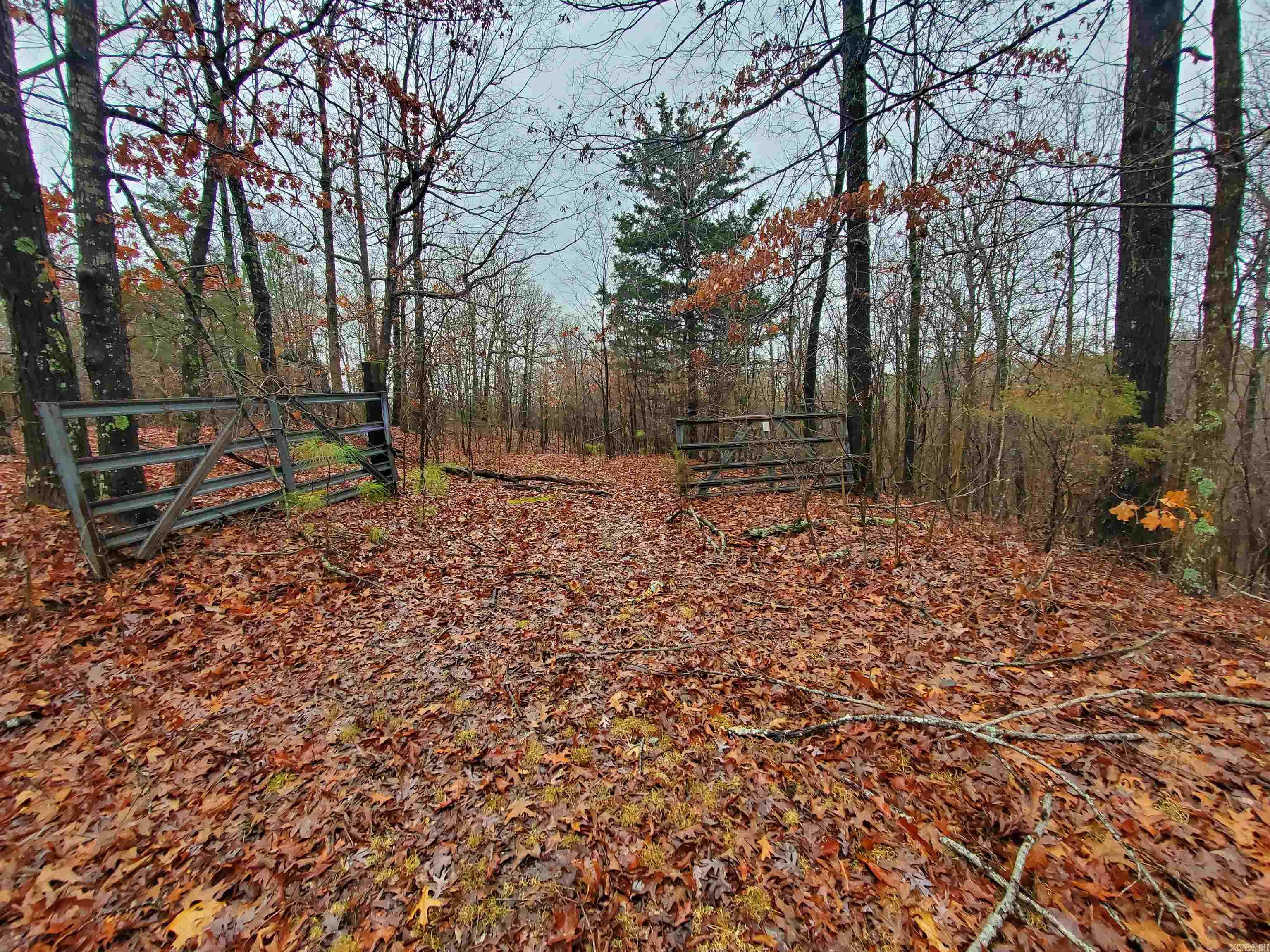 Cr 331 Hwy 62 Property Photo 29
