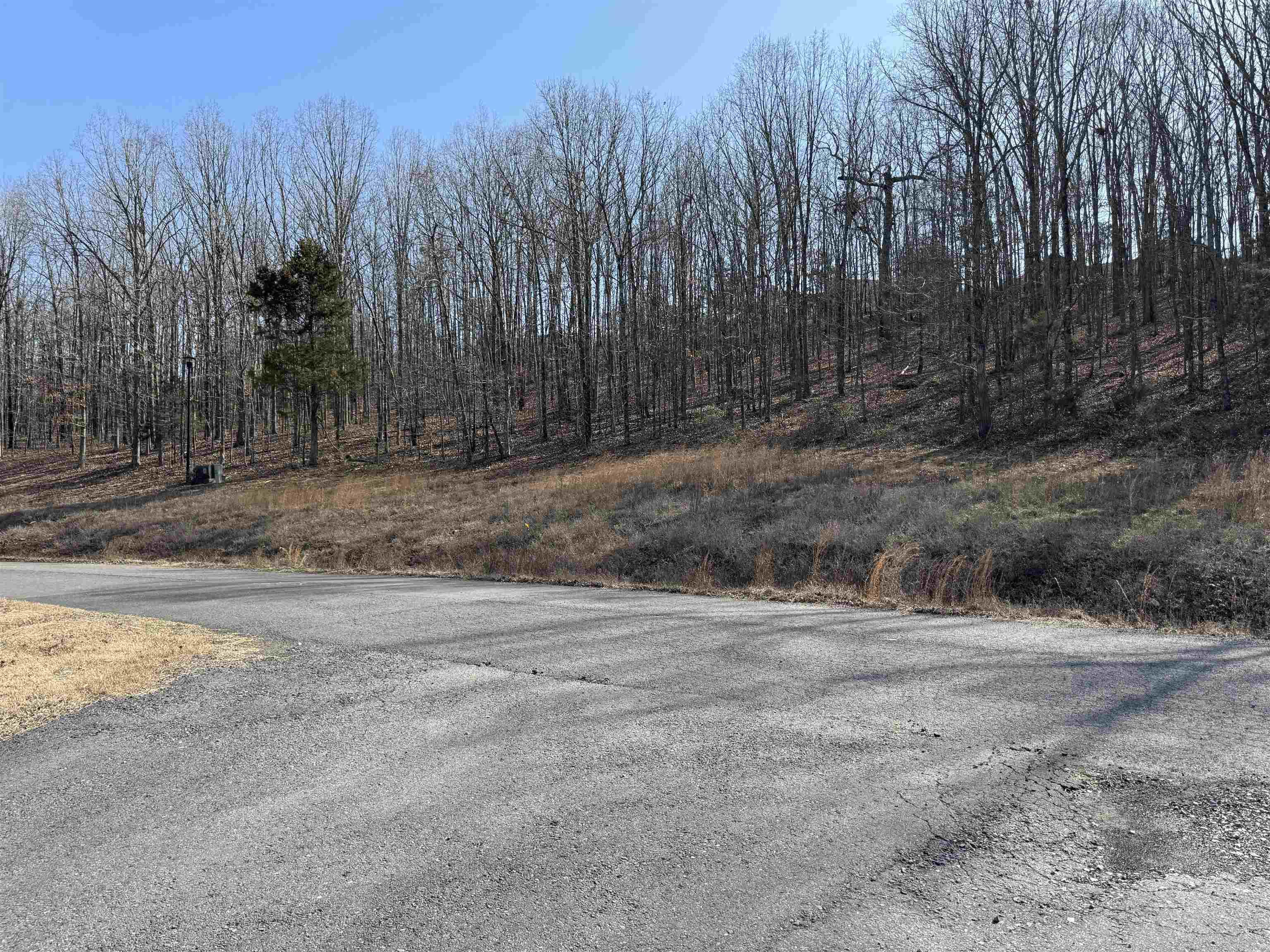Lot 58 Rainbow Lake Road Property Photo 2