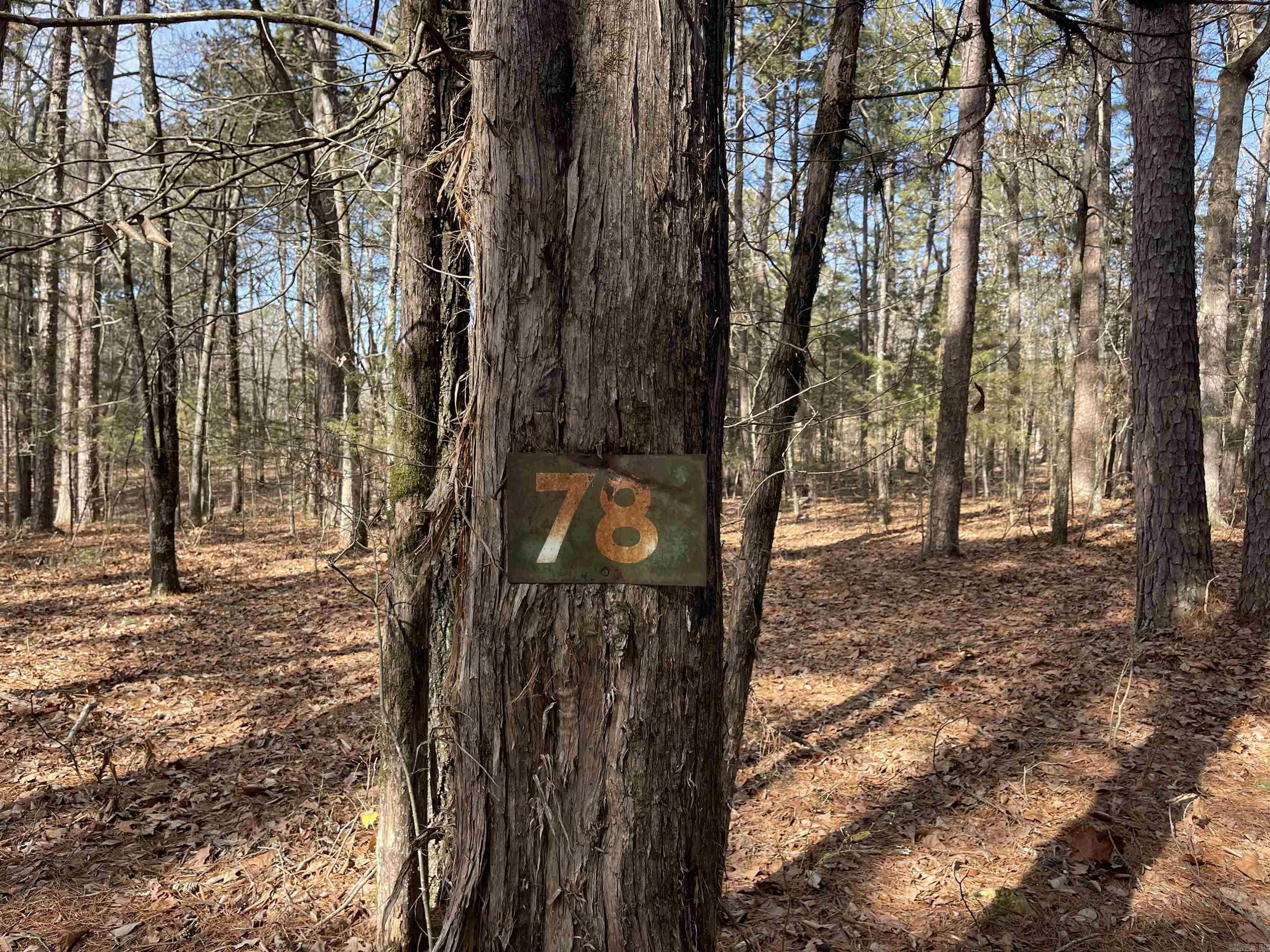 Lot 78 Tannenbaum Rd. Property Photo 3