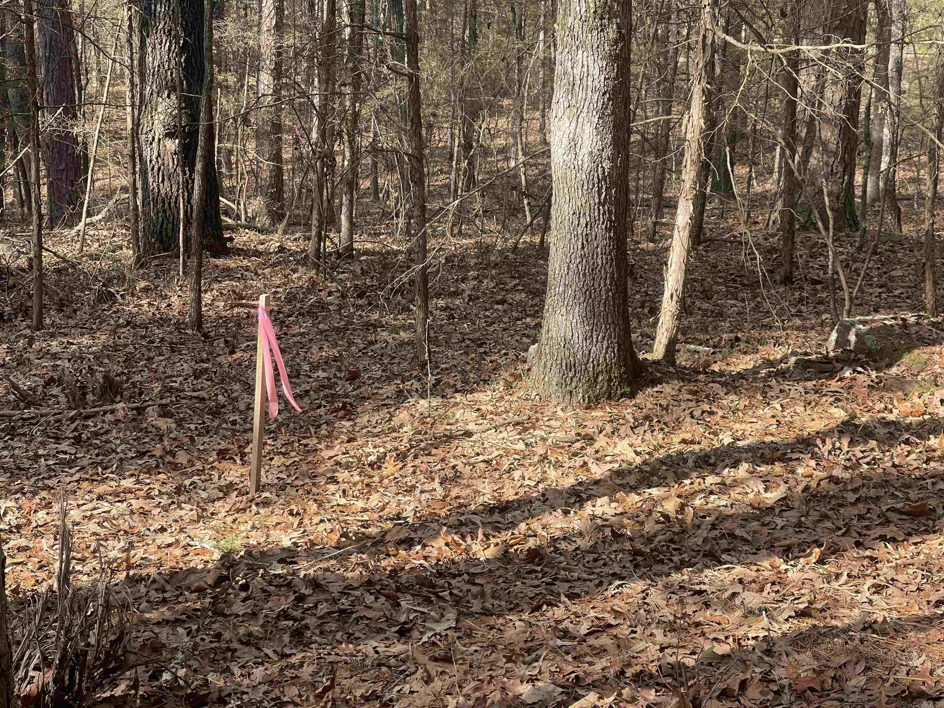 Lot 78 Tannenbaum Rd. Property Photo 4