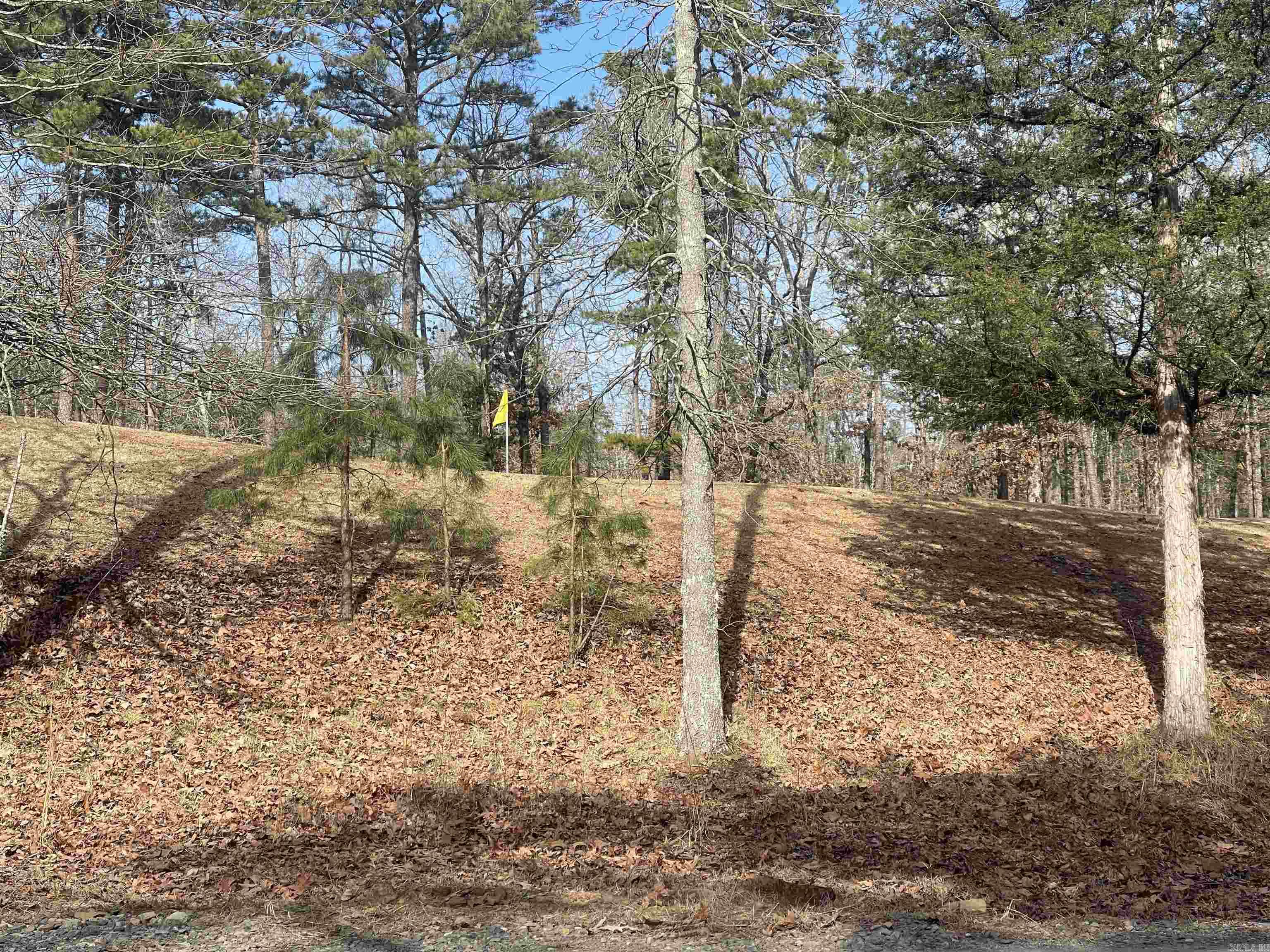 Lot 78 Tannenbaum Rd. Property Photo 8