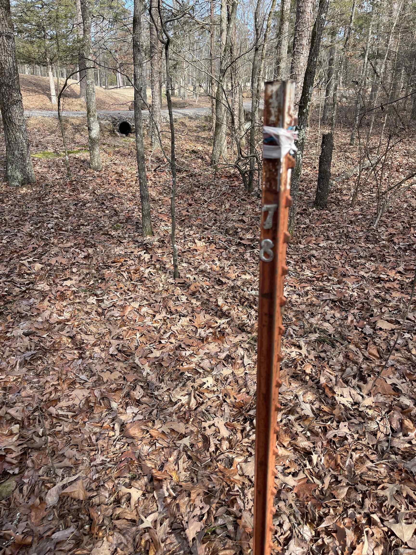 Lot 78 Tannenbaum Rd. Property Photo 9