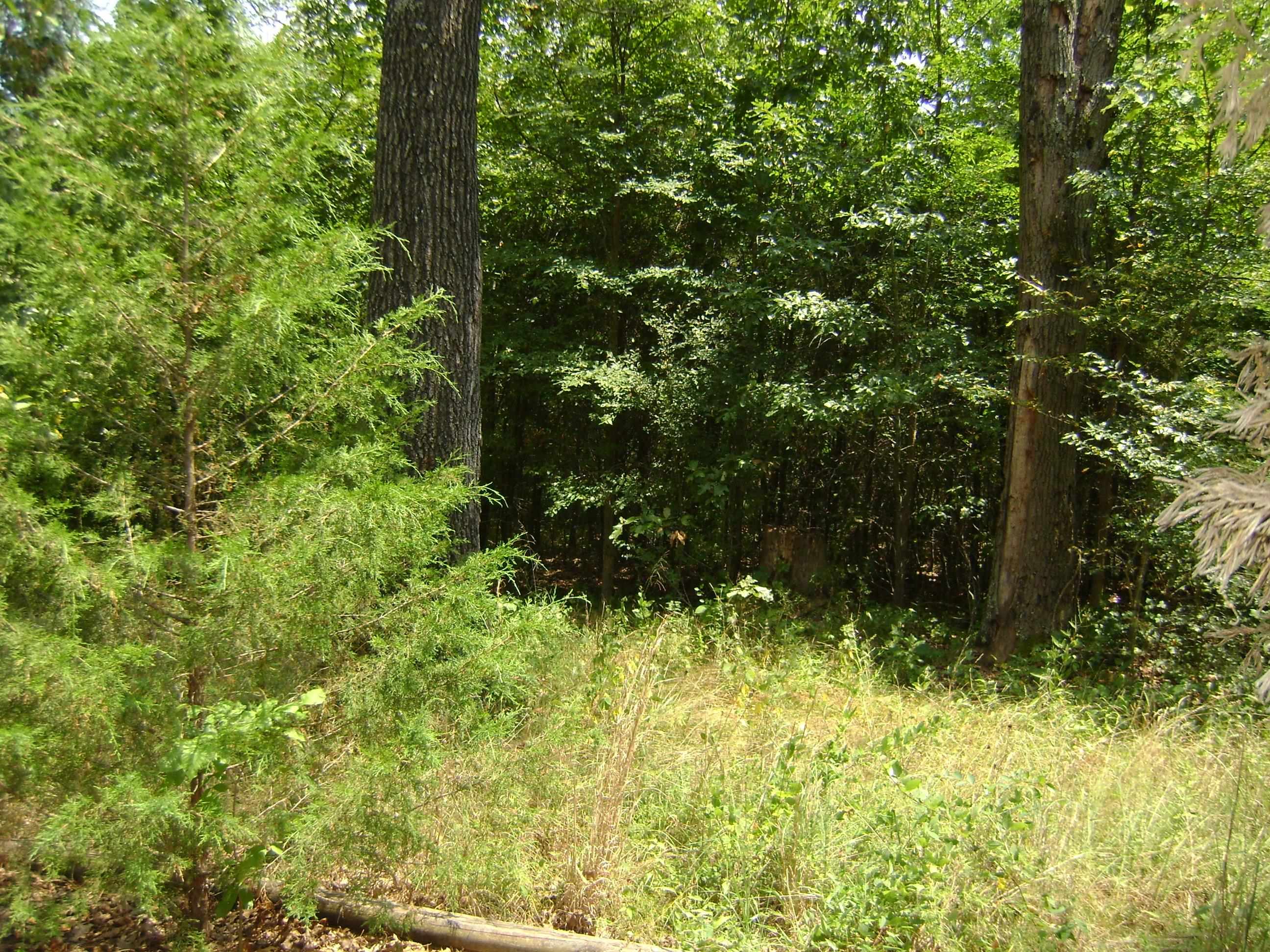 206 & 208 Wedge Road Property Photo 1