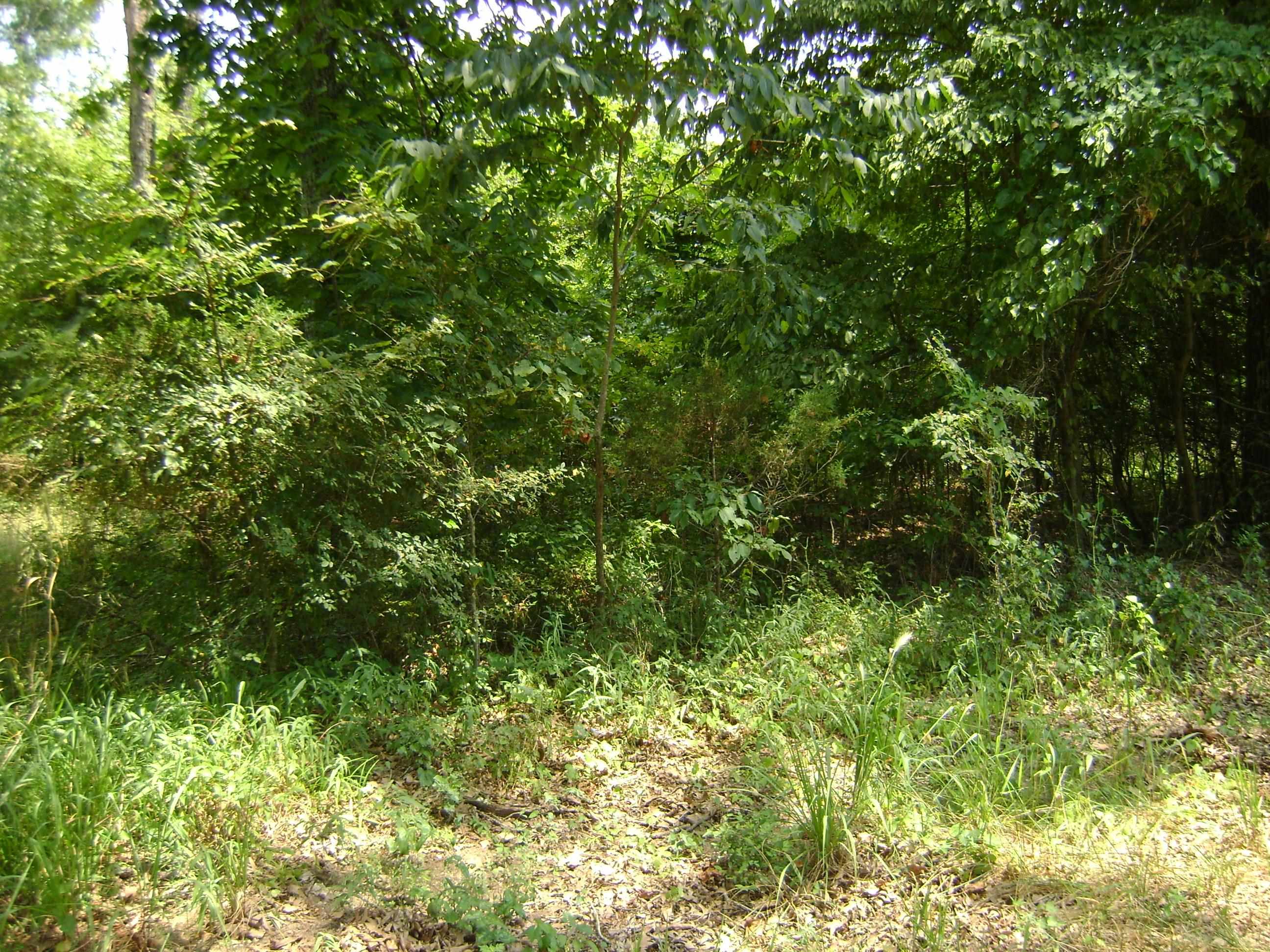 206 & 208 Wedge Road Property Photo 2
