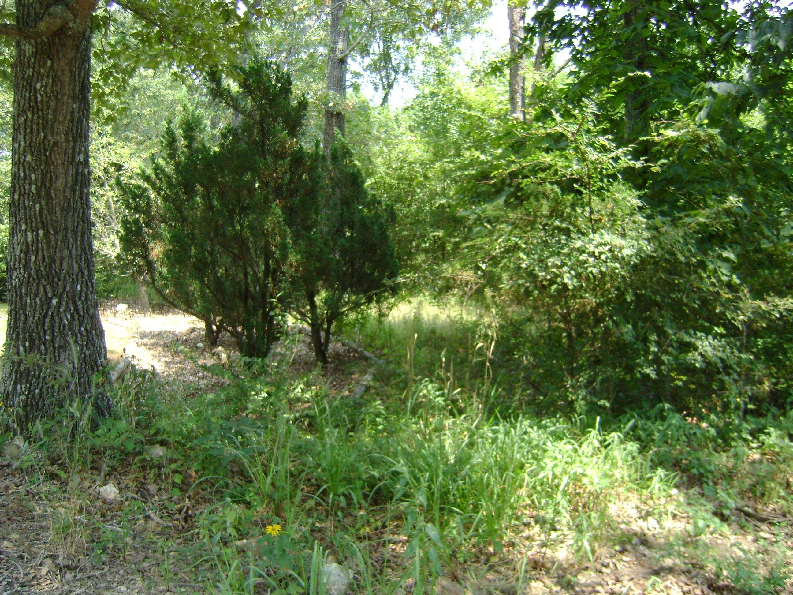 206 & 208 Wedge Road Property Photo 3