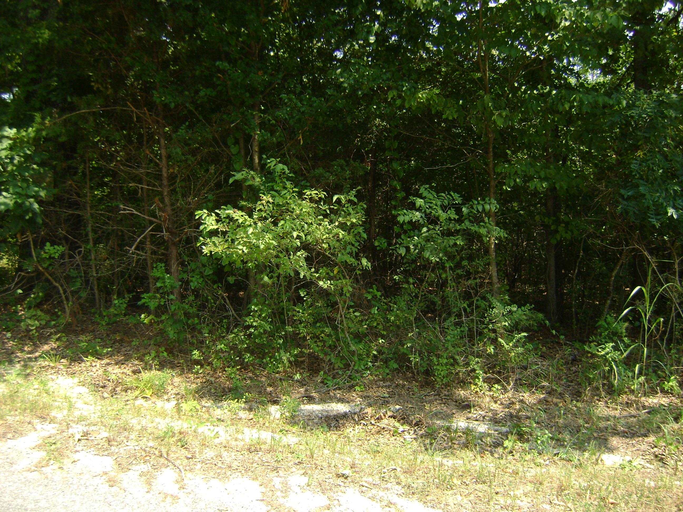206 & 208 Wedge Road Property Photo 4