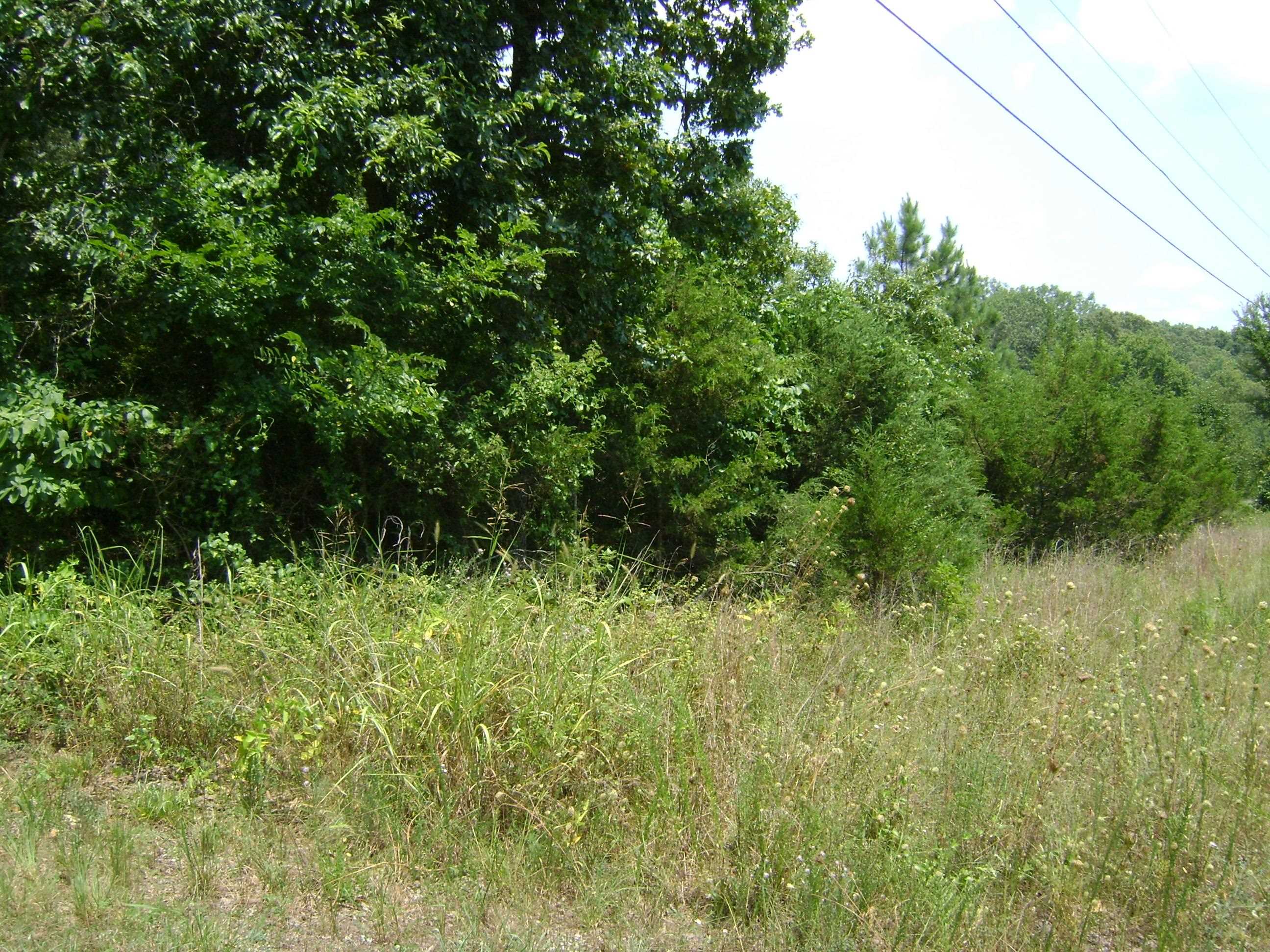 206 & 208 Wedge Road Property Photo 5
