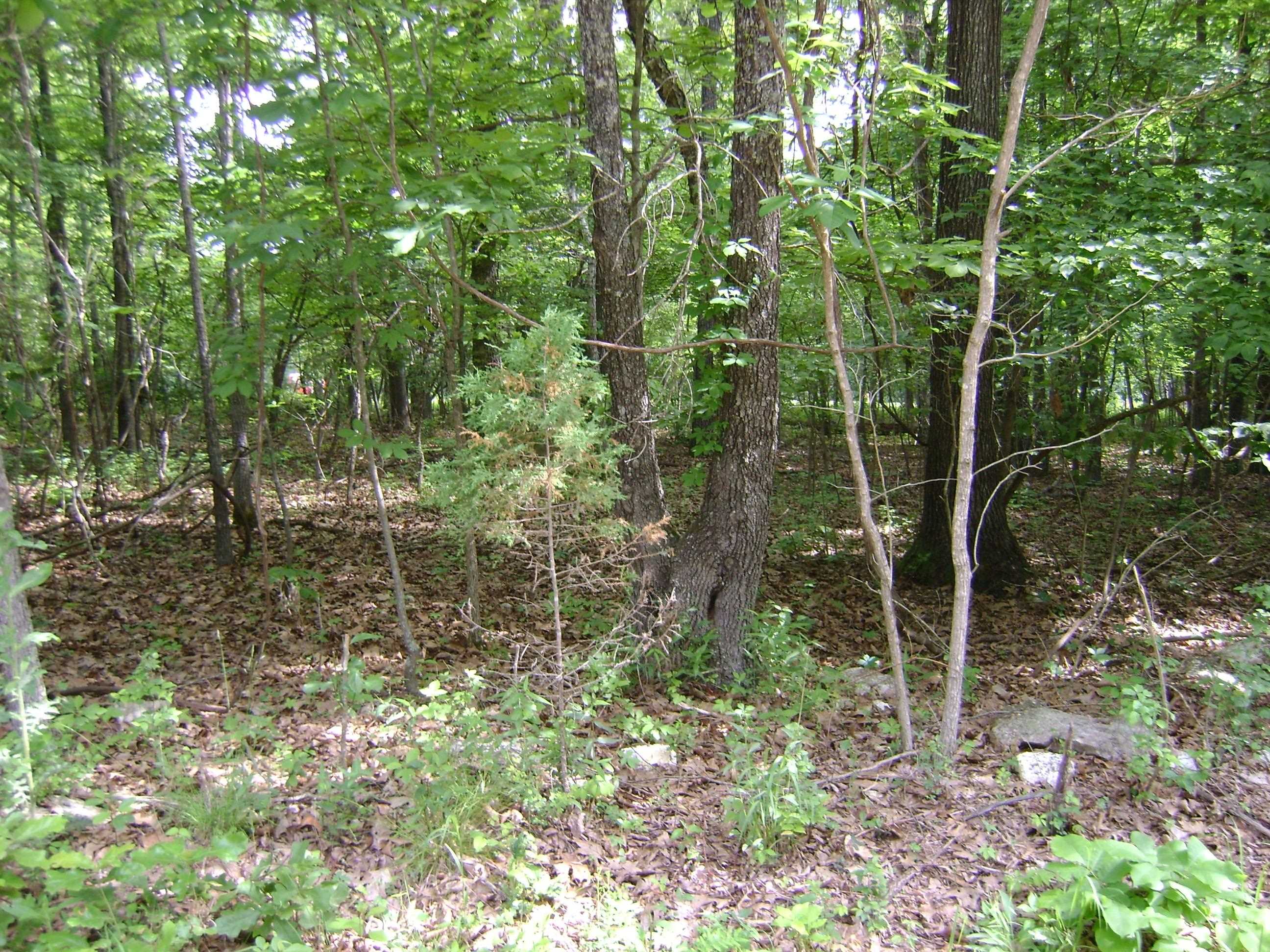 206 & 208 Wedge Road Property Photo 6