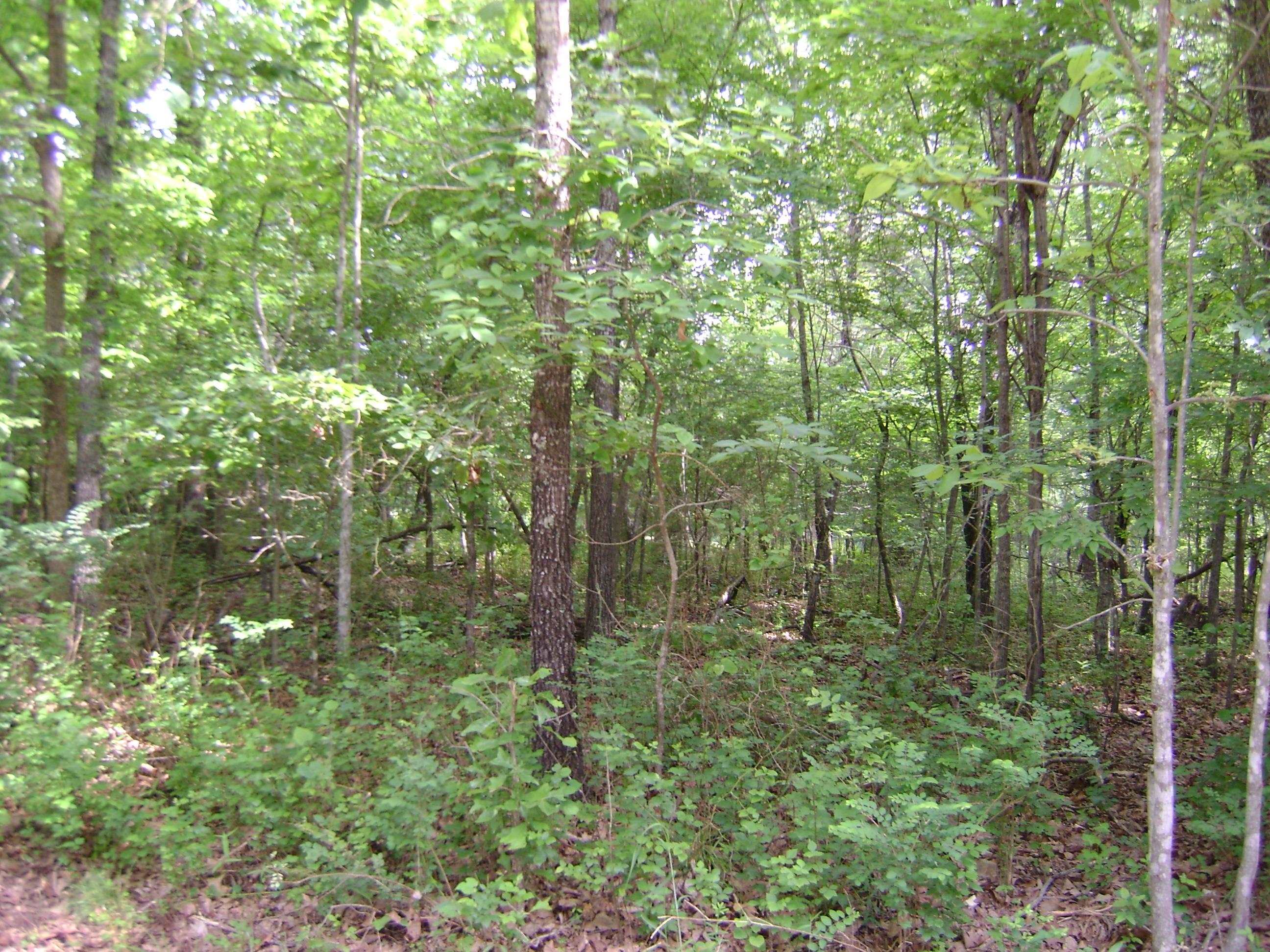 206 & 208 Wedge Road Property Photo 8