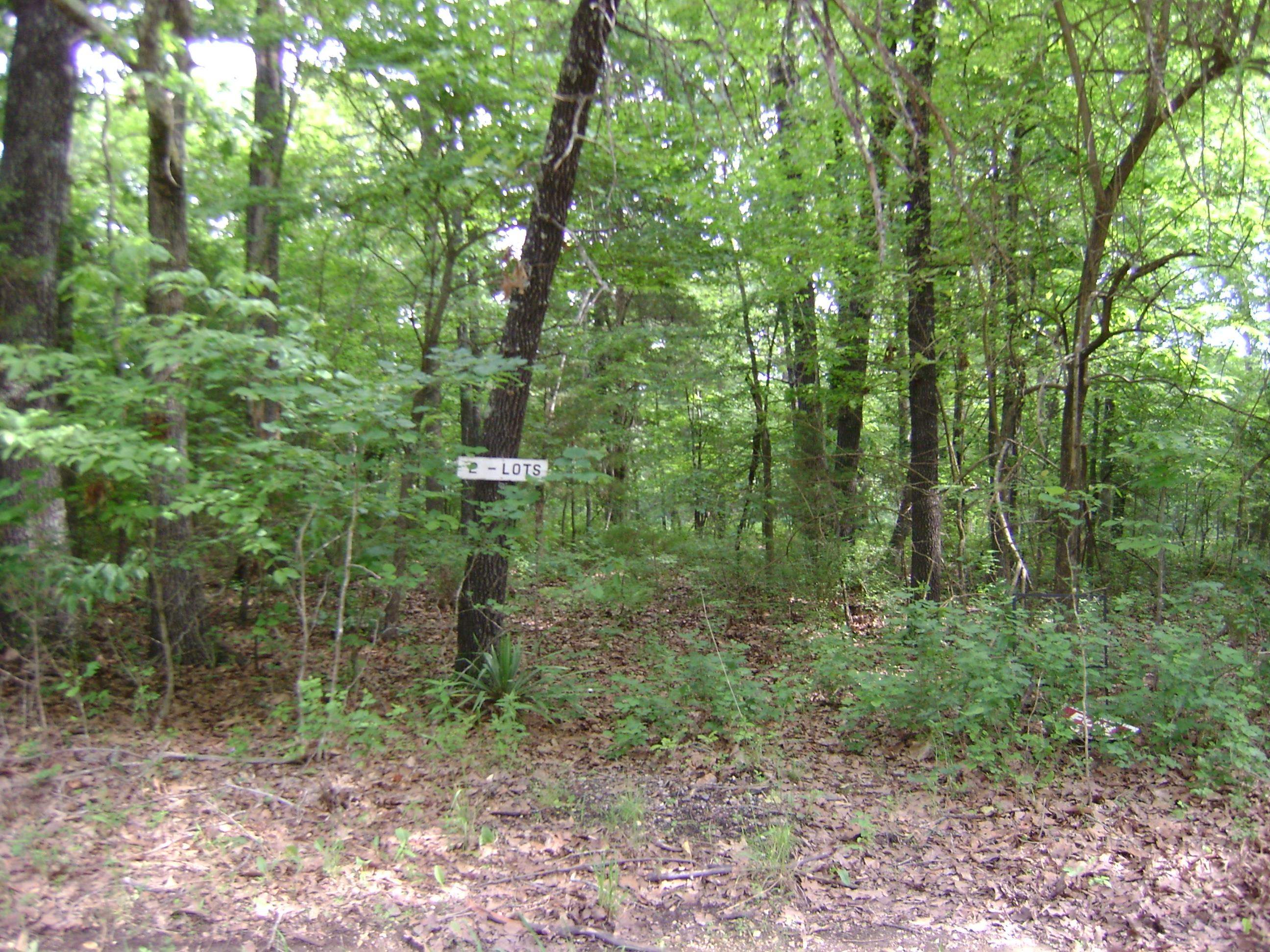 206 & 208 Wedge Road Property Photo 9