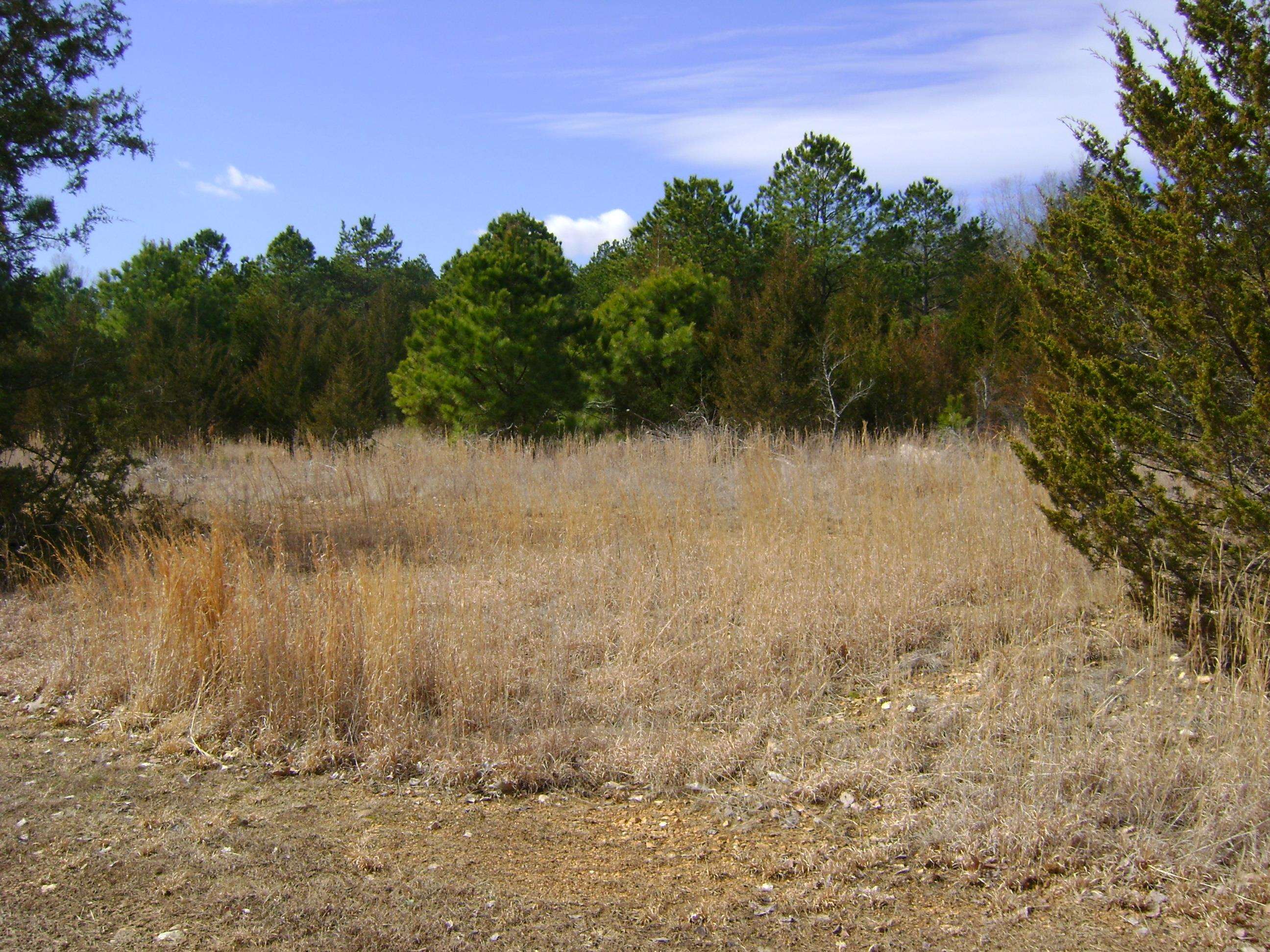 206 & 208 Wedge Road Property Photo 11