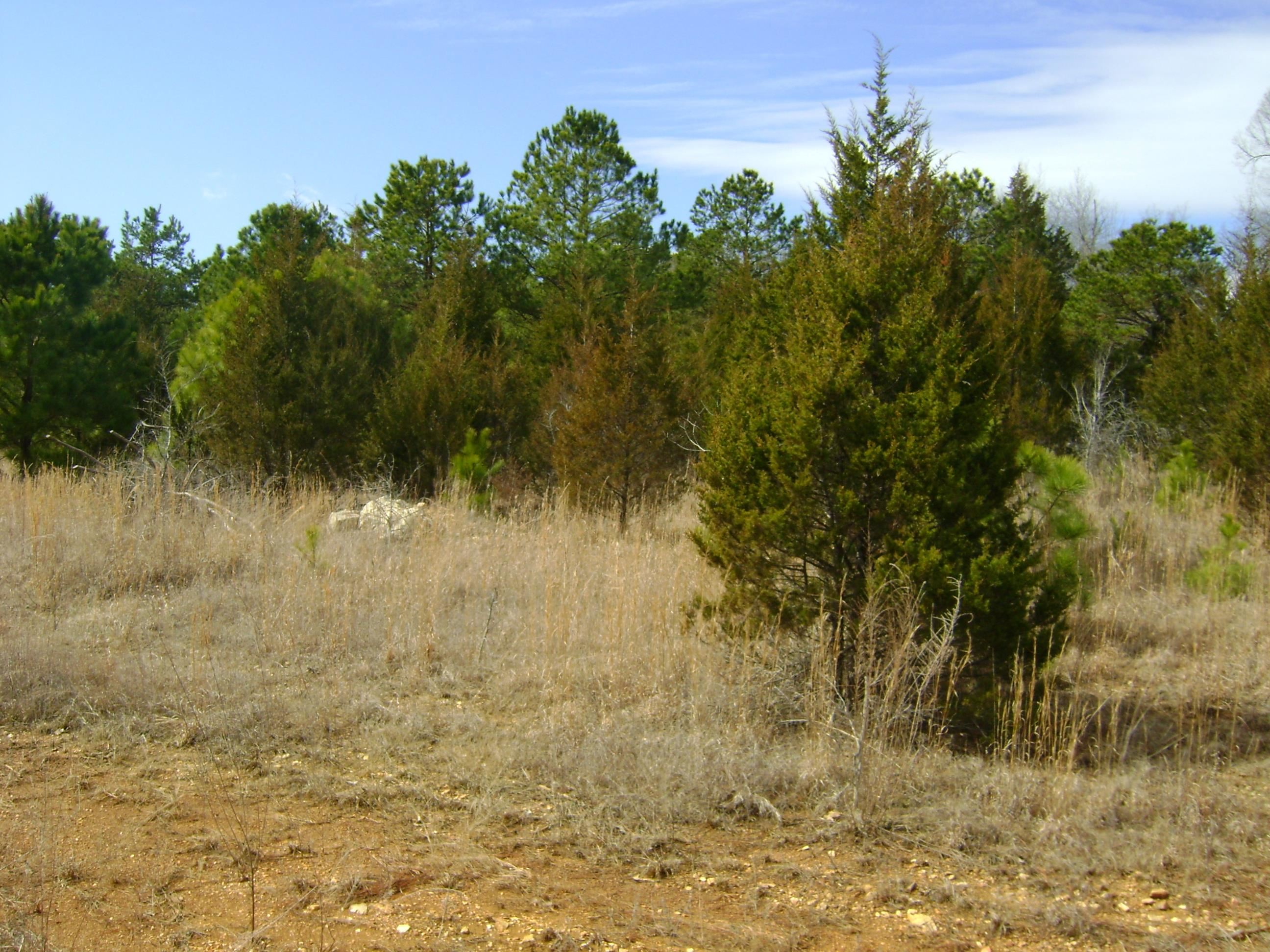206 & 208 Wedge Road Property Photo 15