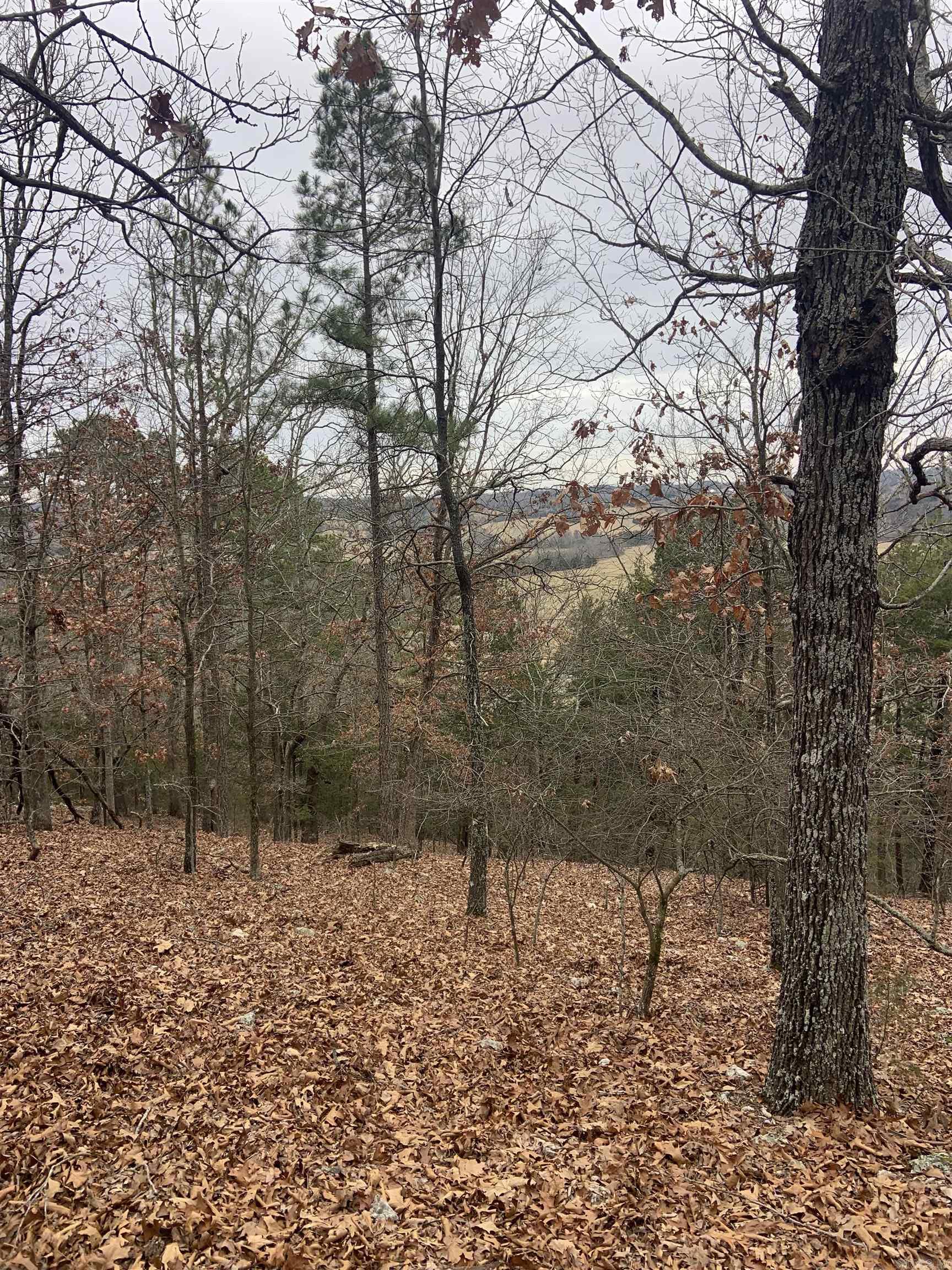 Tbd Cedar Park Road Property Photo 20