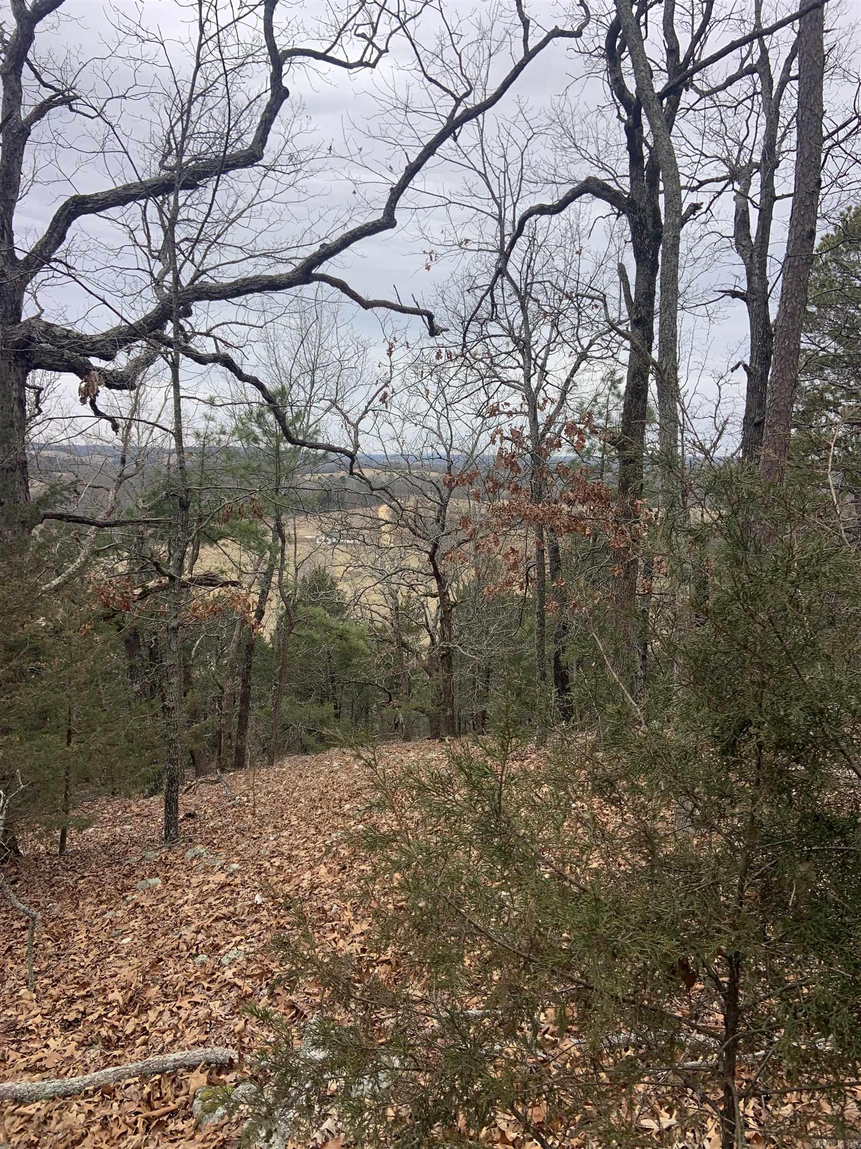 Tbd Cedar Park Road Property Photo 23