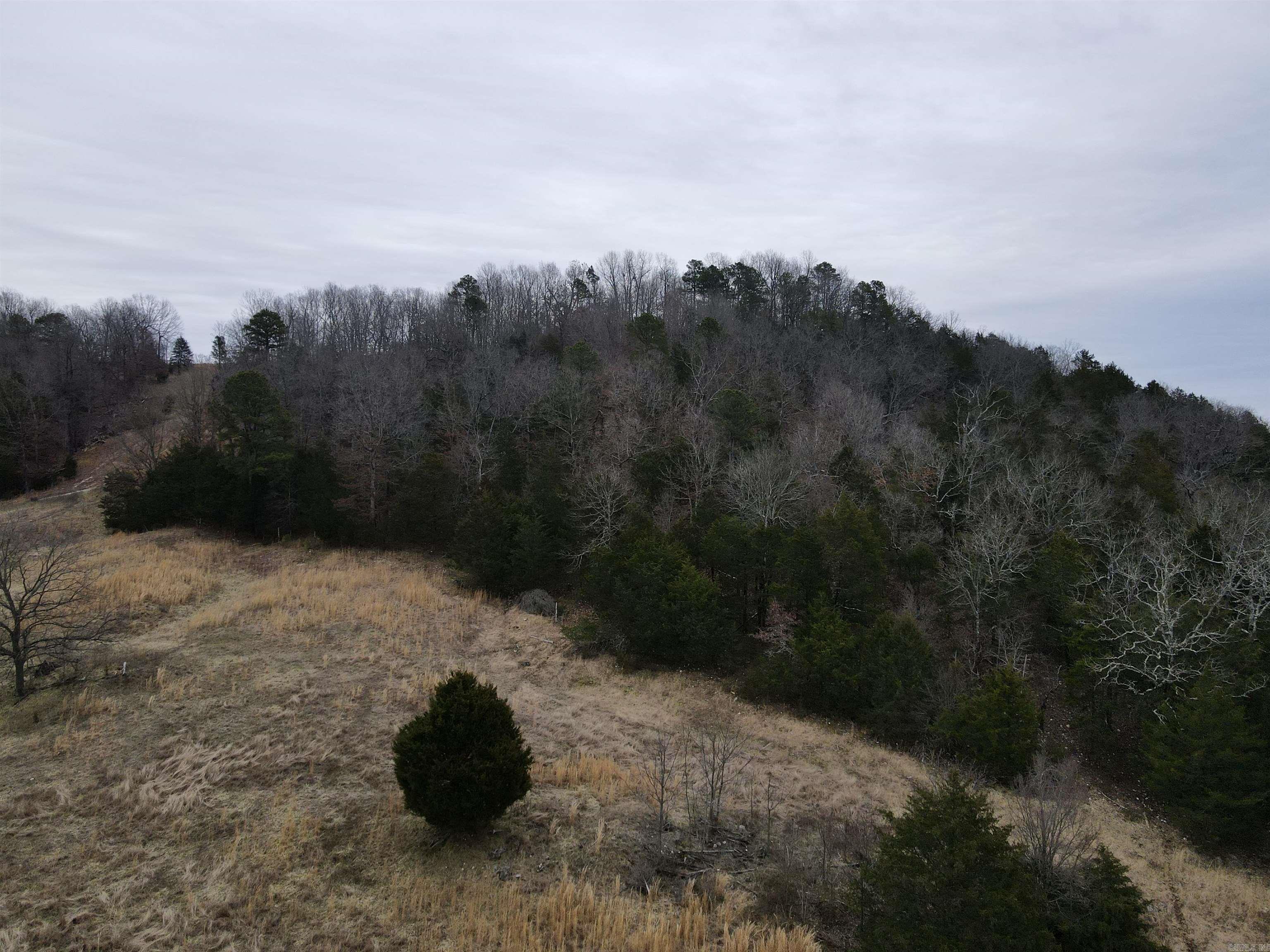 Tbd Cedar Park Road Property Photo 24