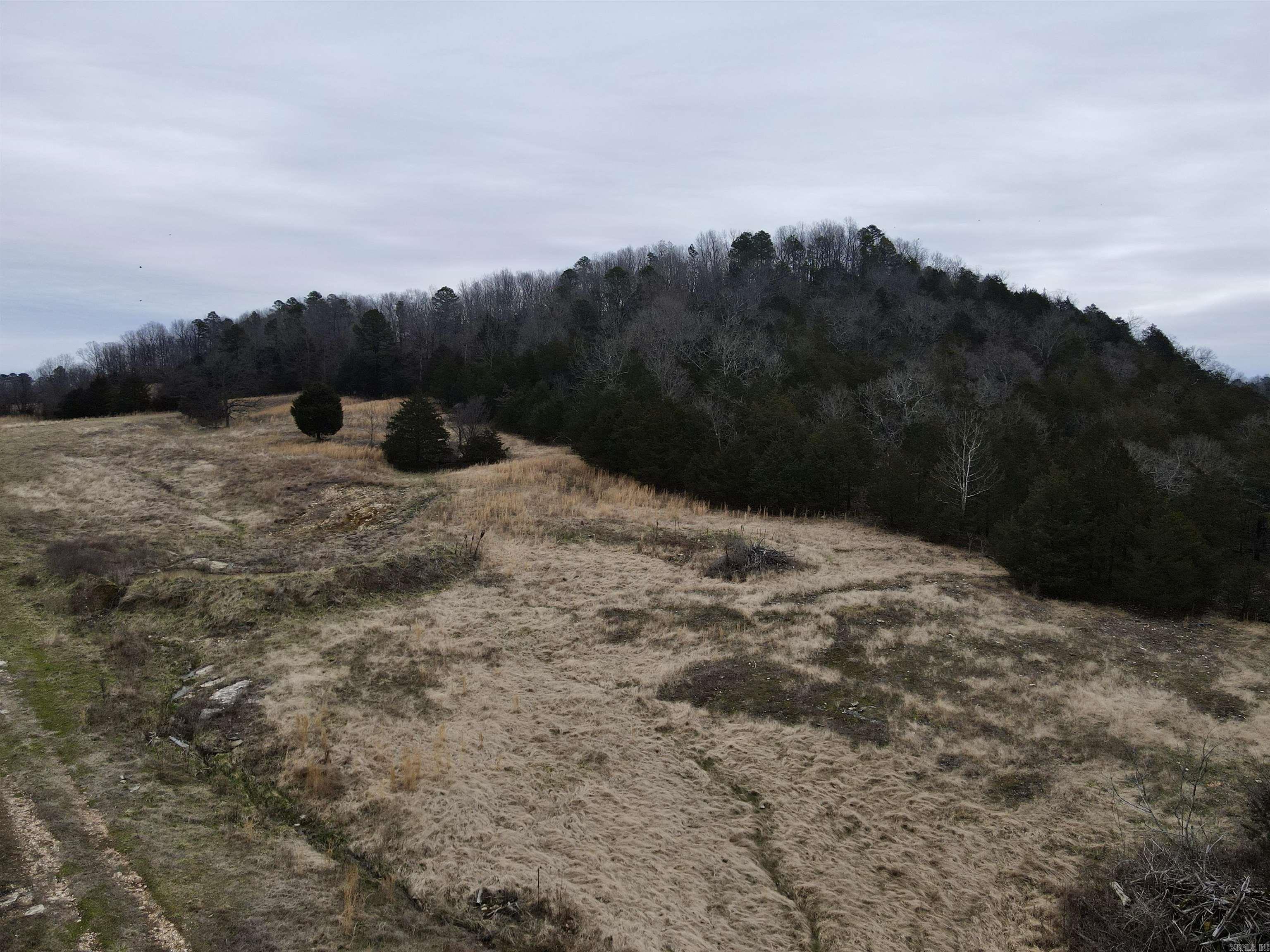 Tbd Cedar Park Road Property Photo 33