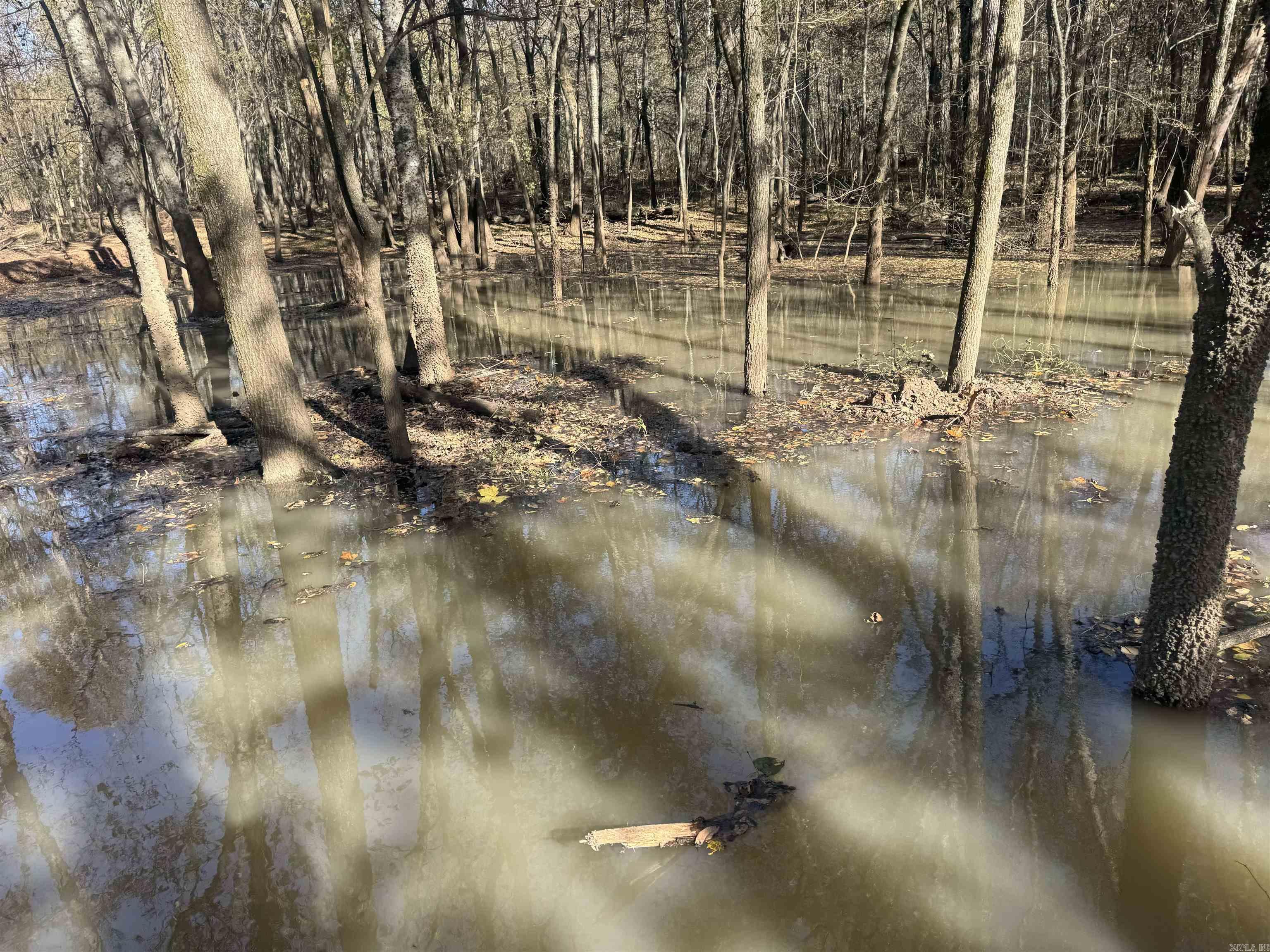 000 Alex Brown Rd Property Photo 2