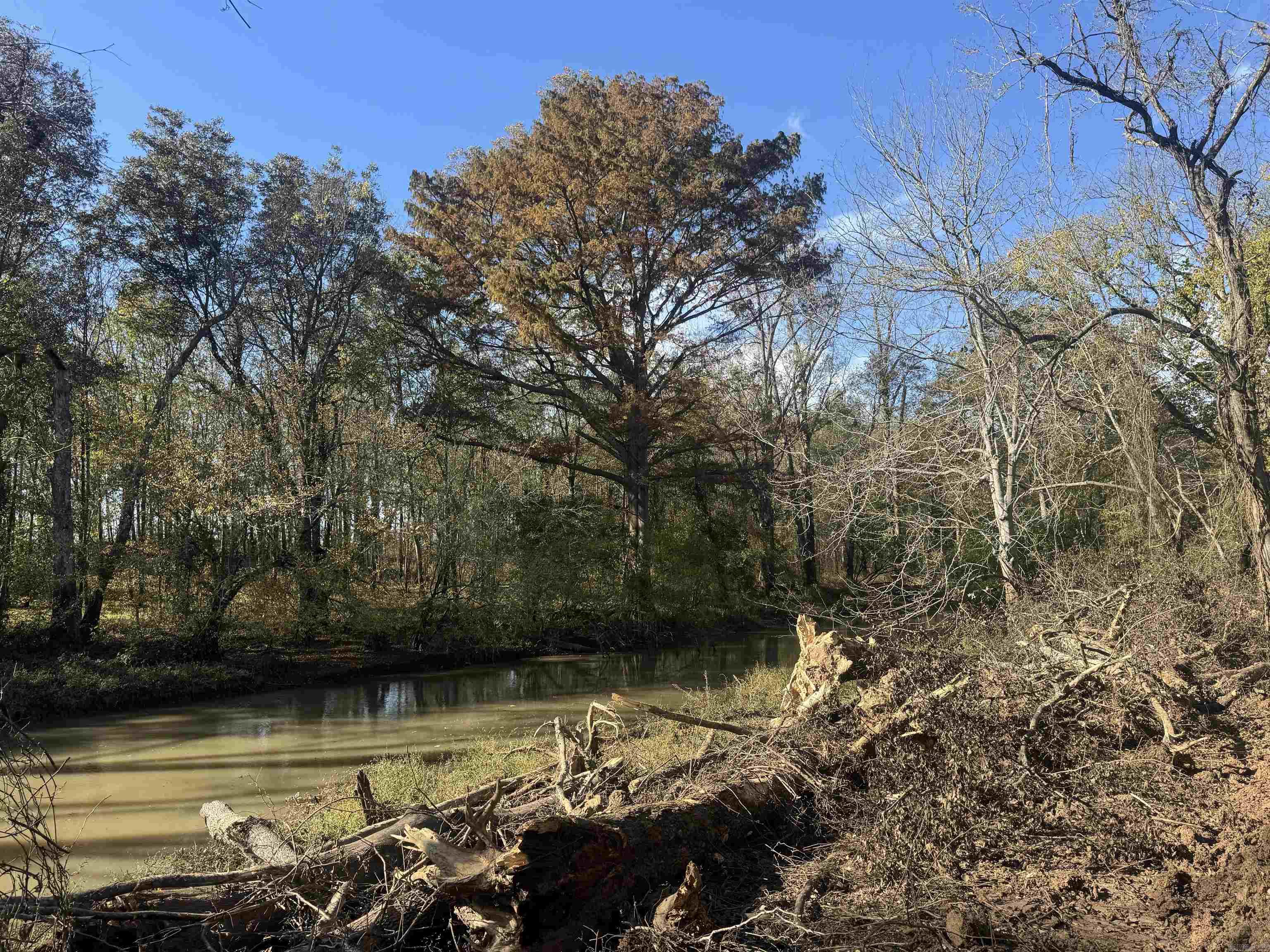 000 Alex Brown Rd Property Photo 5