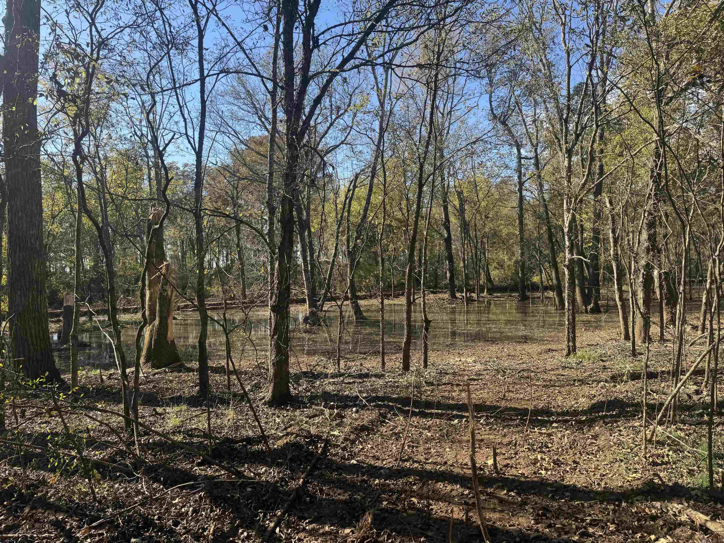 000 Alex Brown Rd Property Photo 8