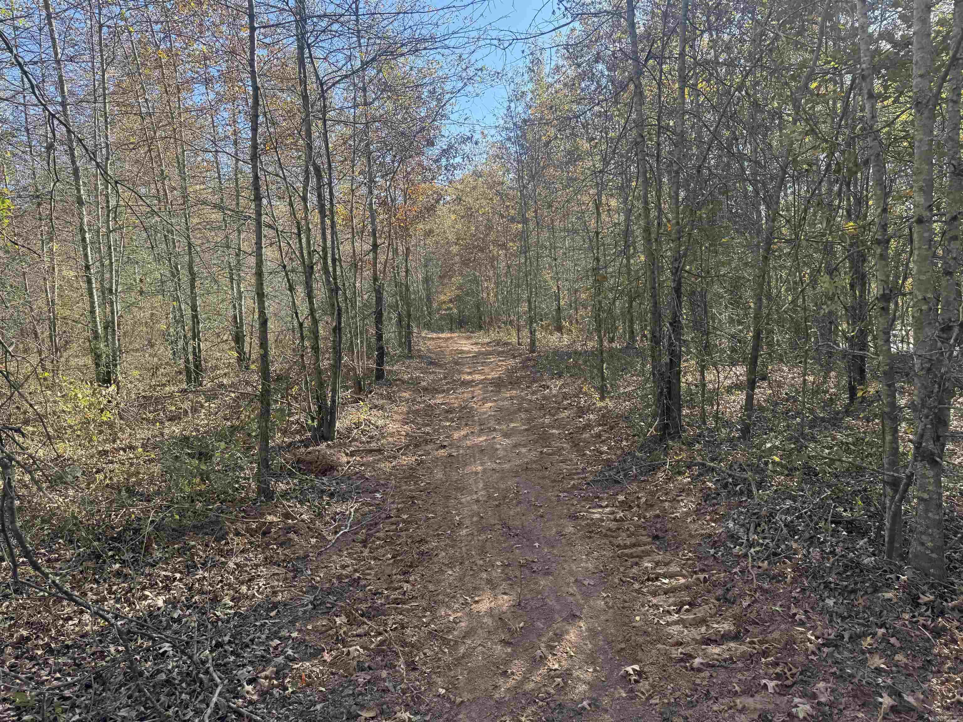 000 Alex Brown Rd Property Photo 9