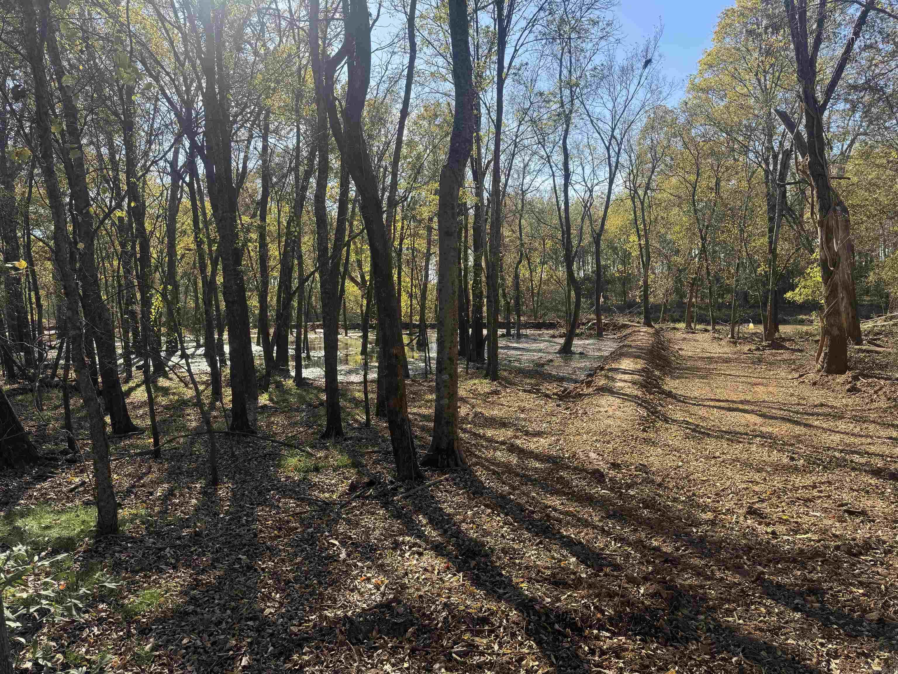000 Alex Brown Rd Property Photo 10