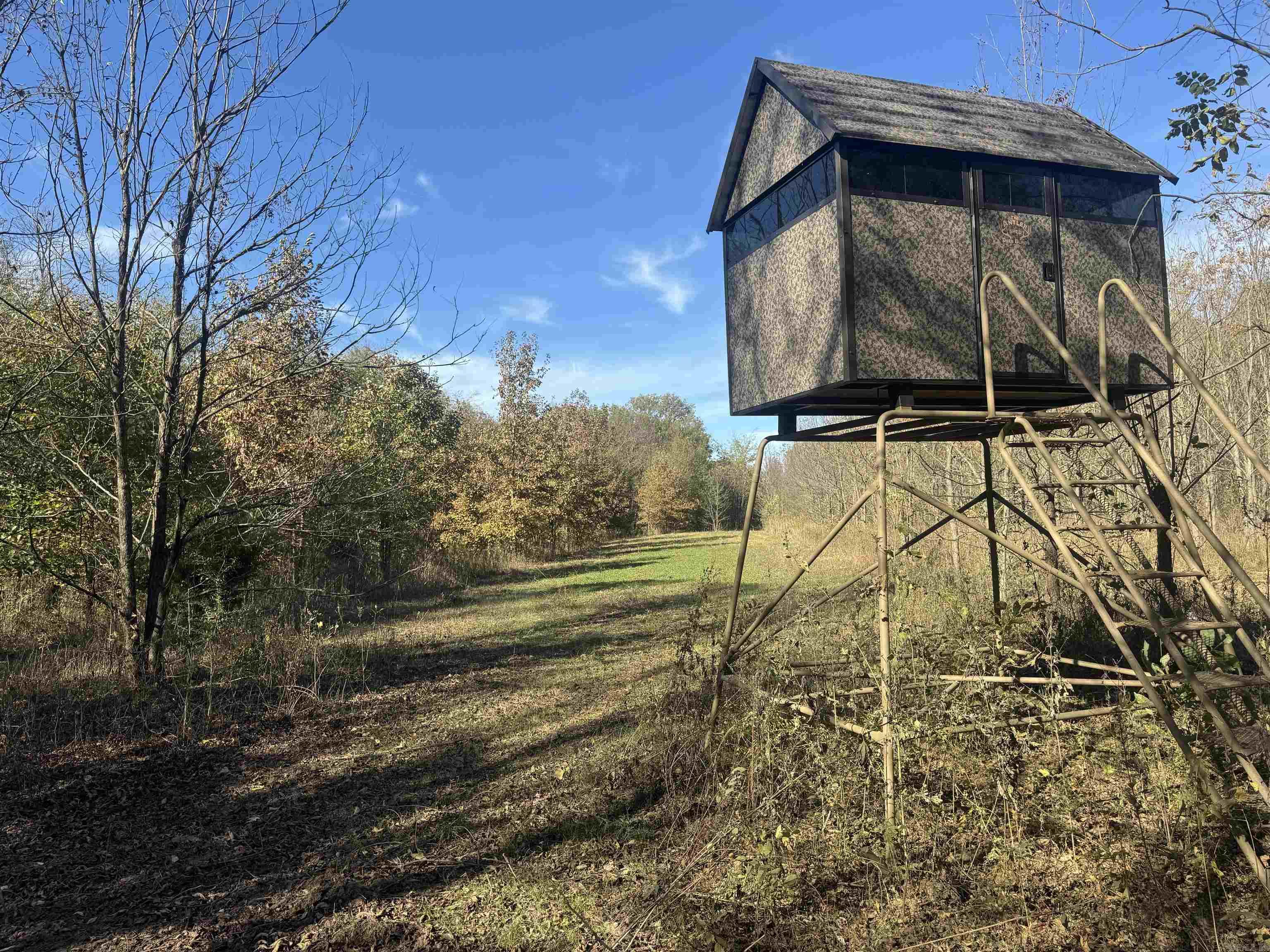 000 Alex Brown Rd Property Photo 11