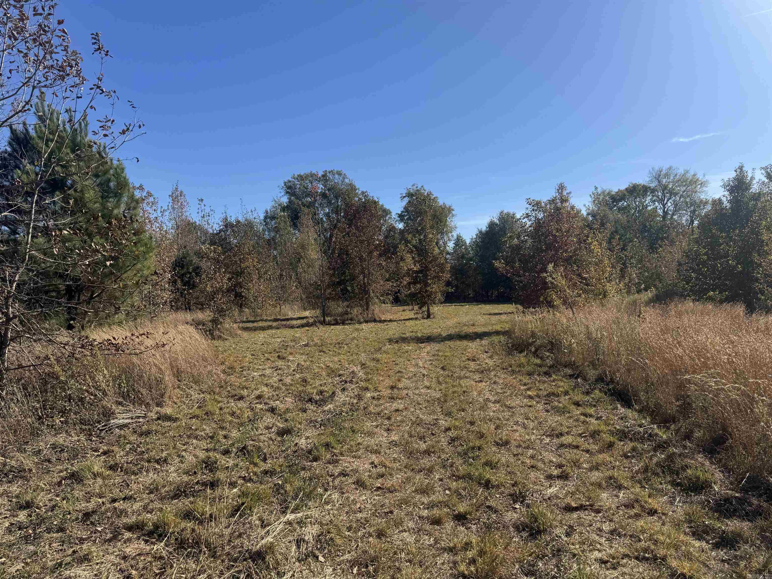 000 Alex Brown Rd Property Photo 12
