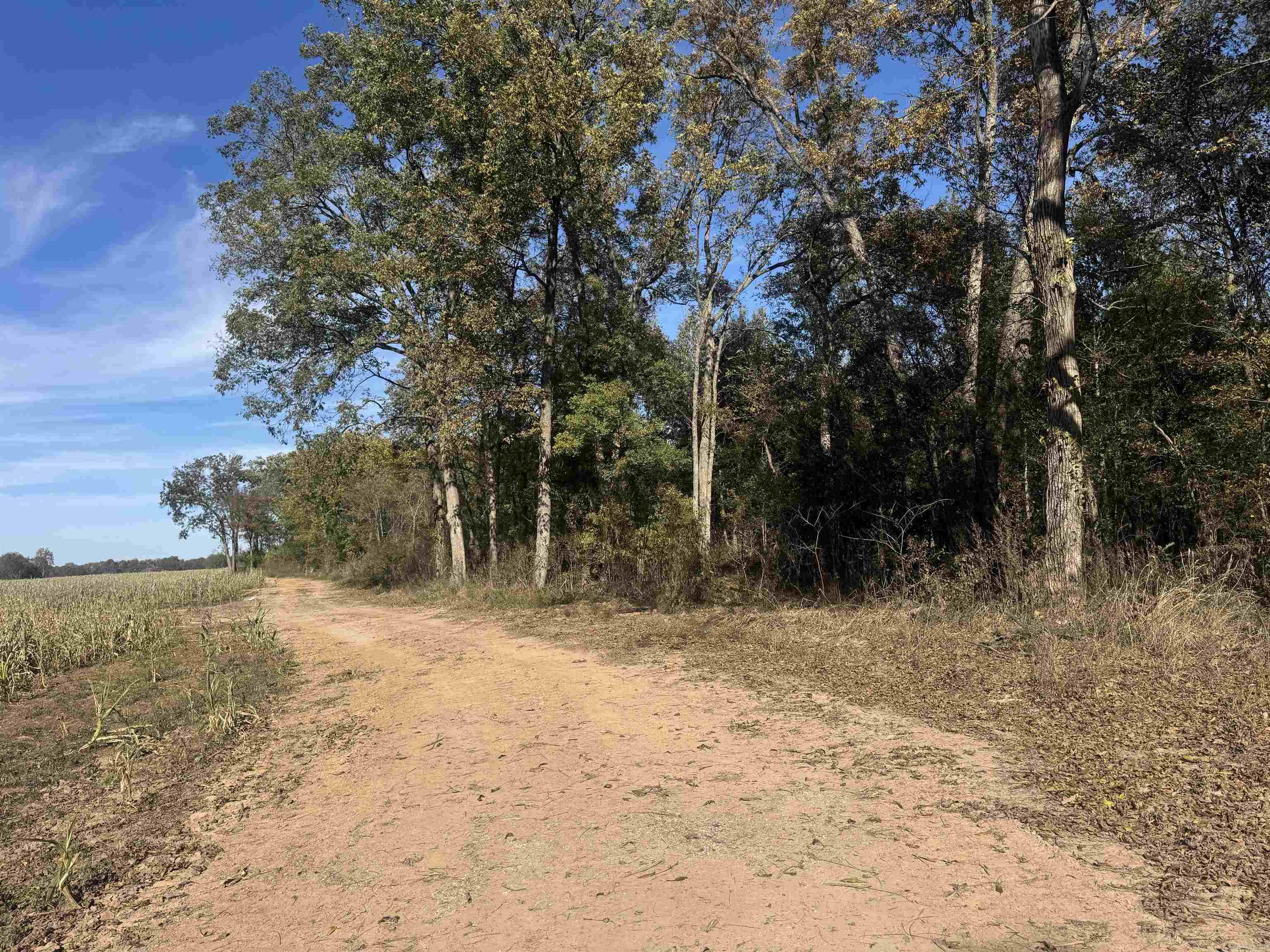 000 Alex Brown Rd Property Photo 14