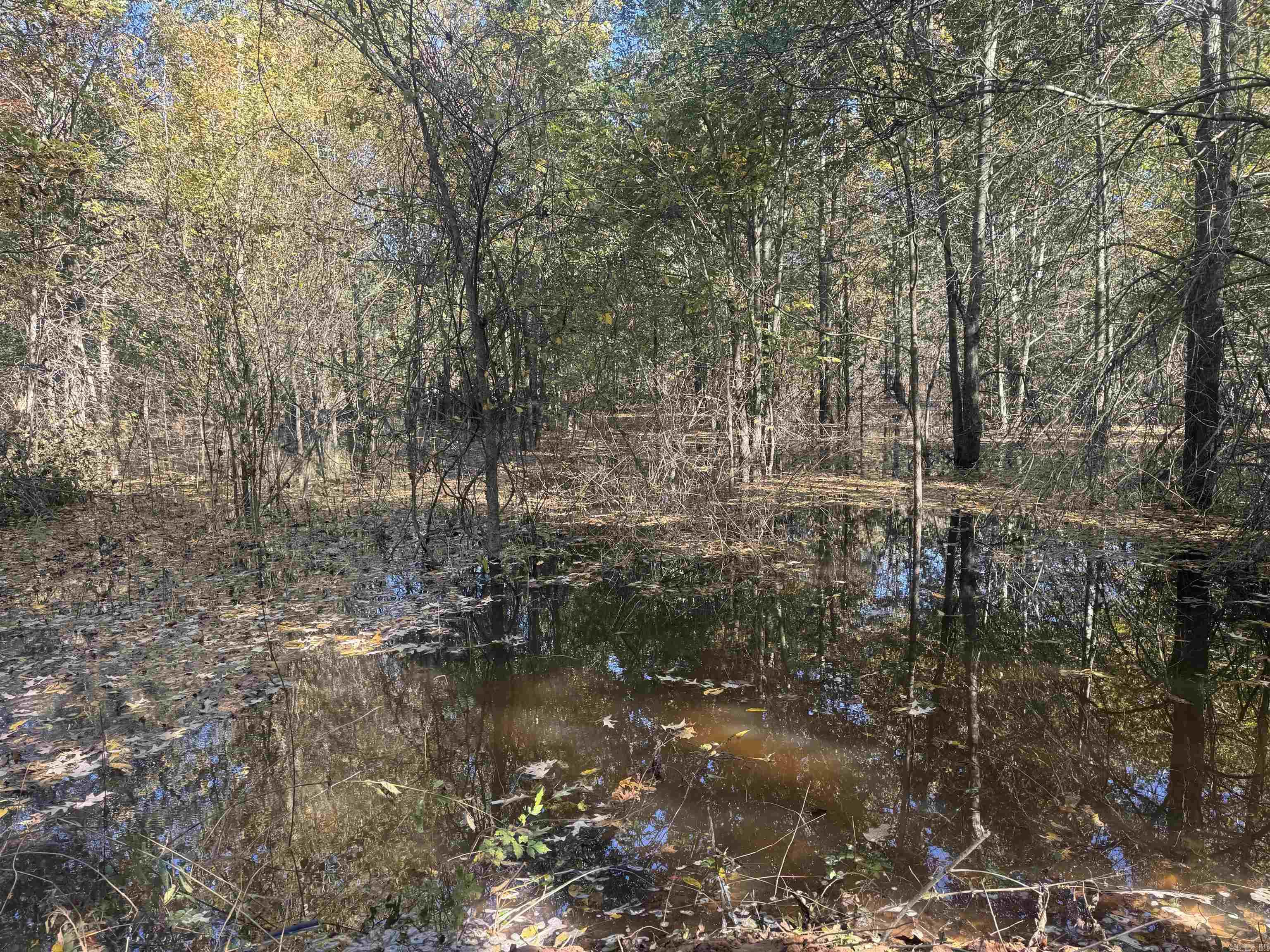 000 Alex Brown Rd Property Photo 15