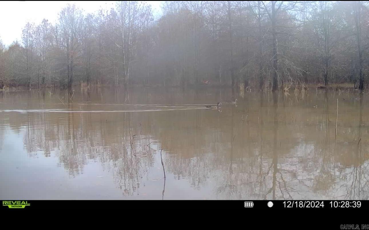 000 Alex Brown Rd Property Photo 16
