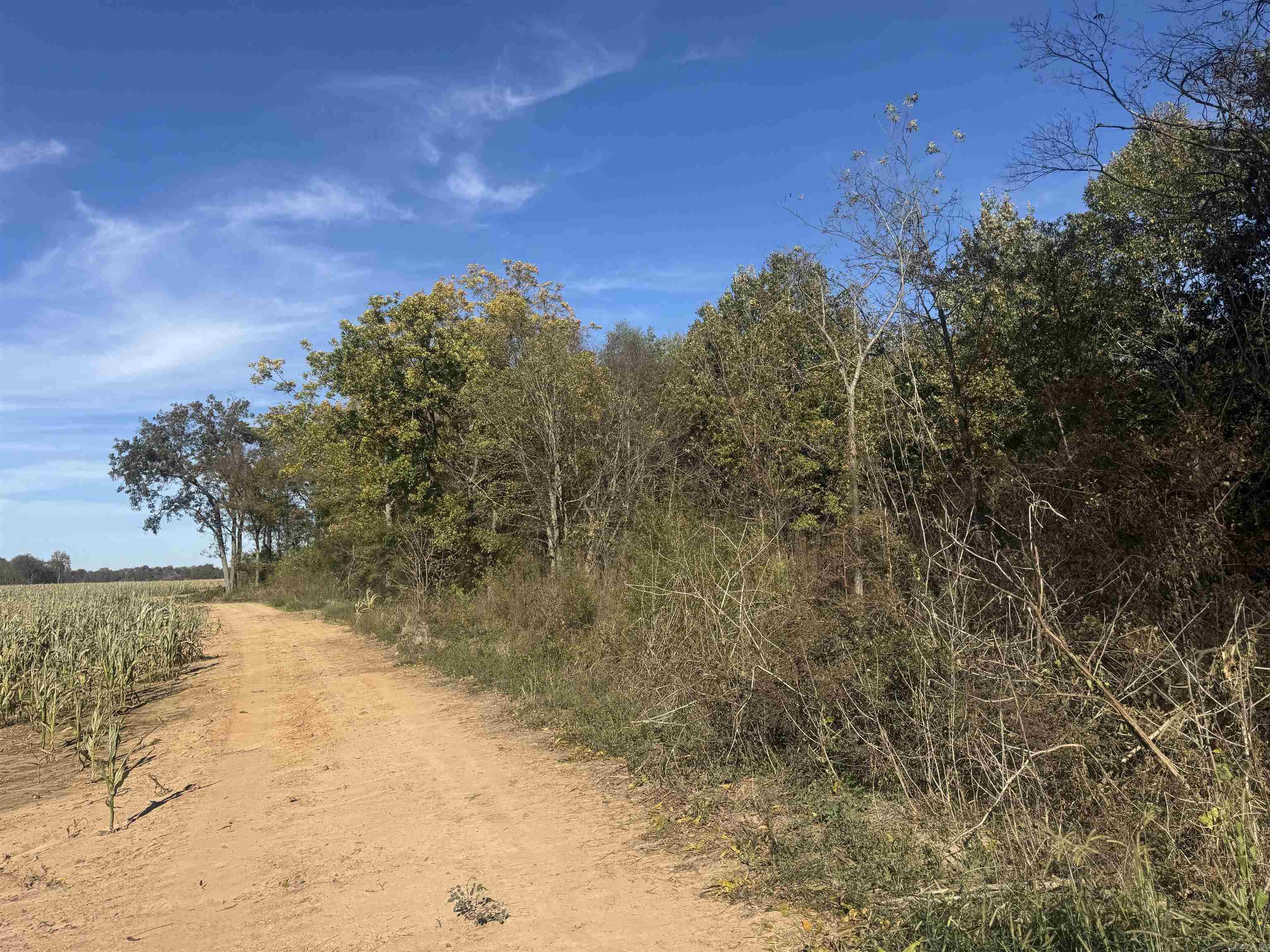 000 Alex Brown Rd Property Photo 17