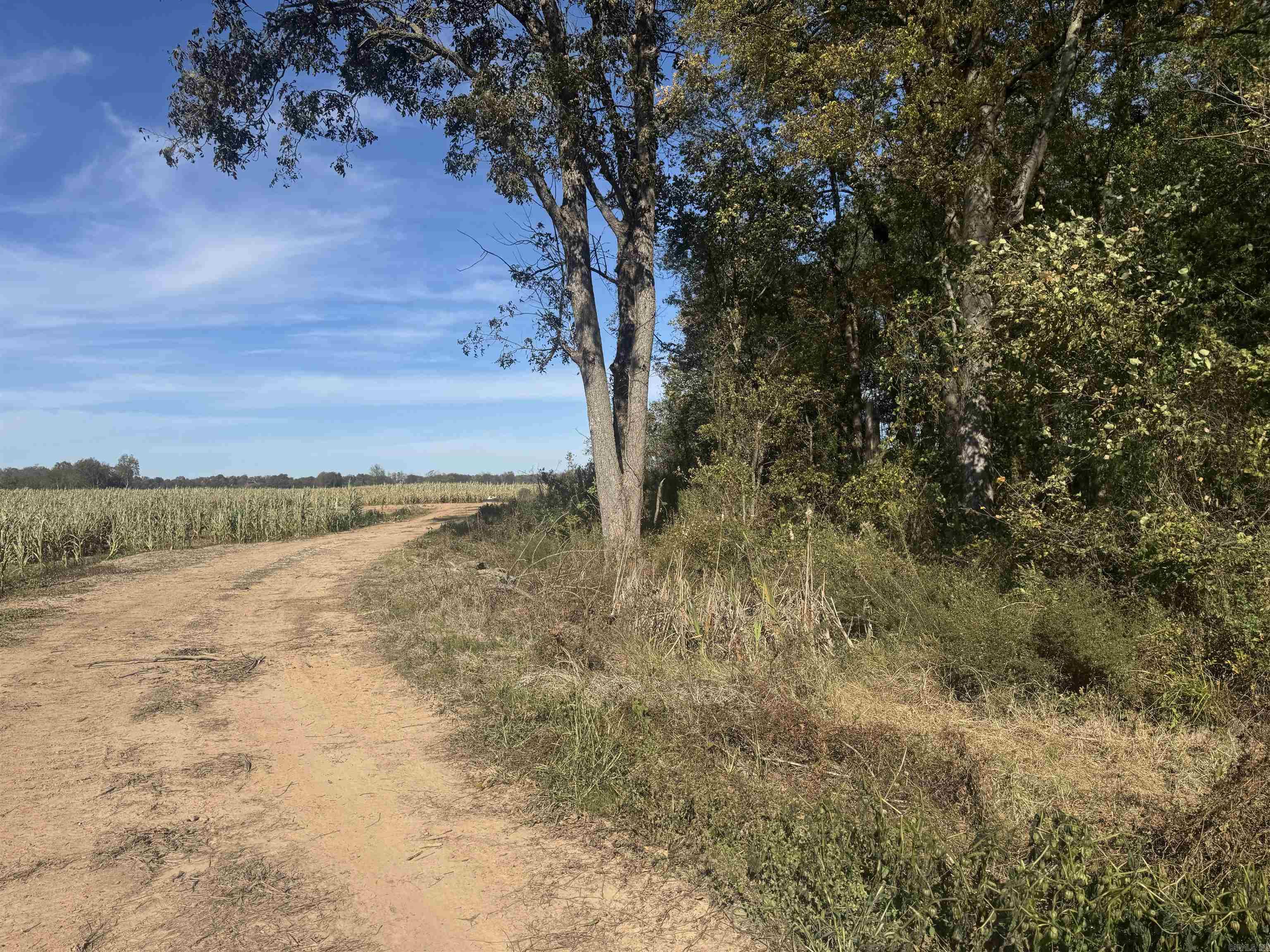 000 Alex Brown Rd Property Photo 18