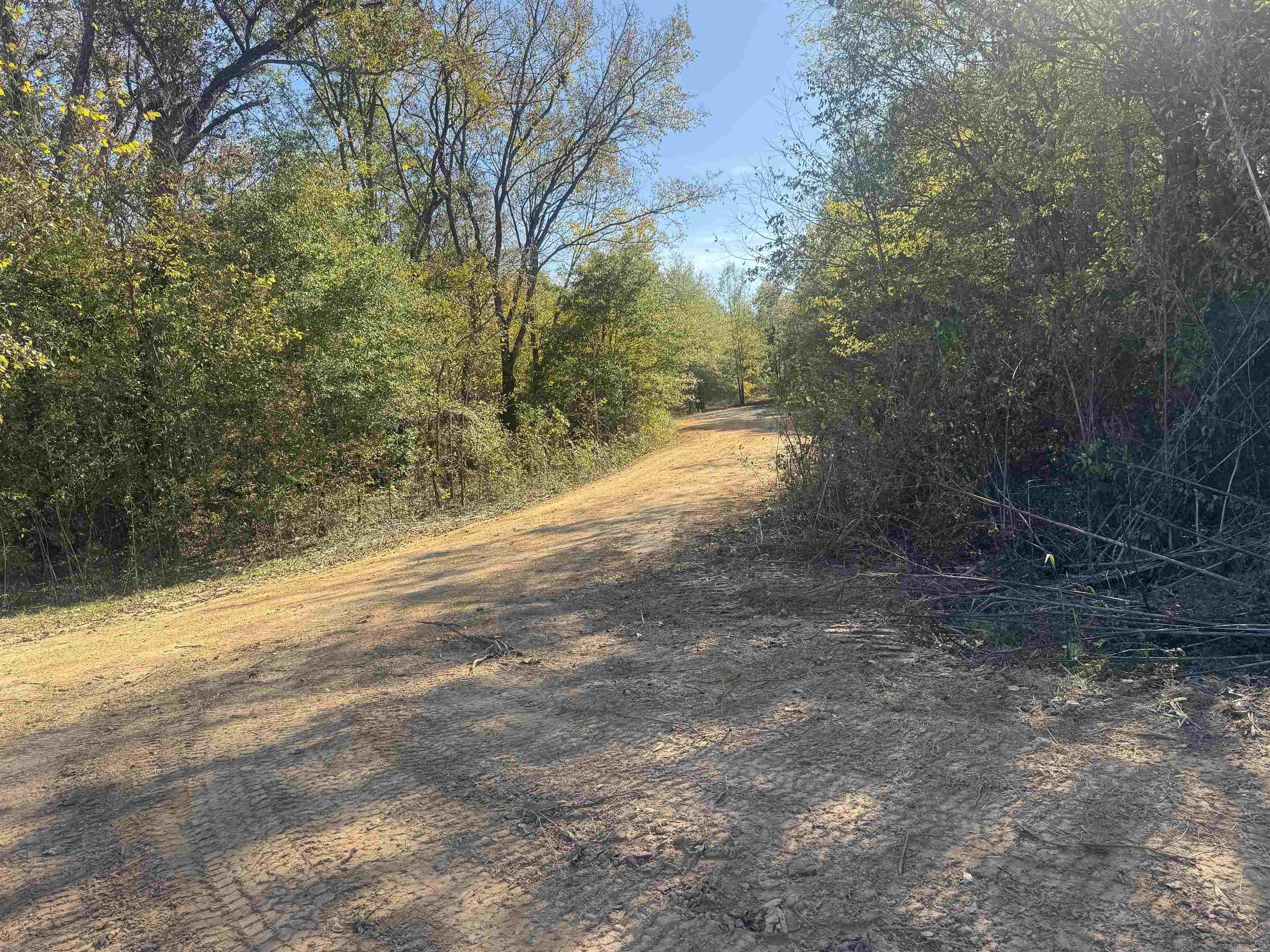 000 Alex Brown Rd Property Photo 21