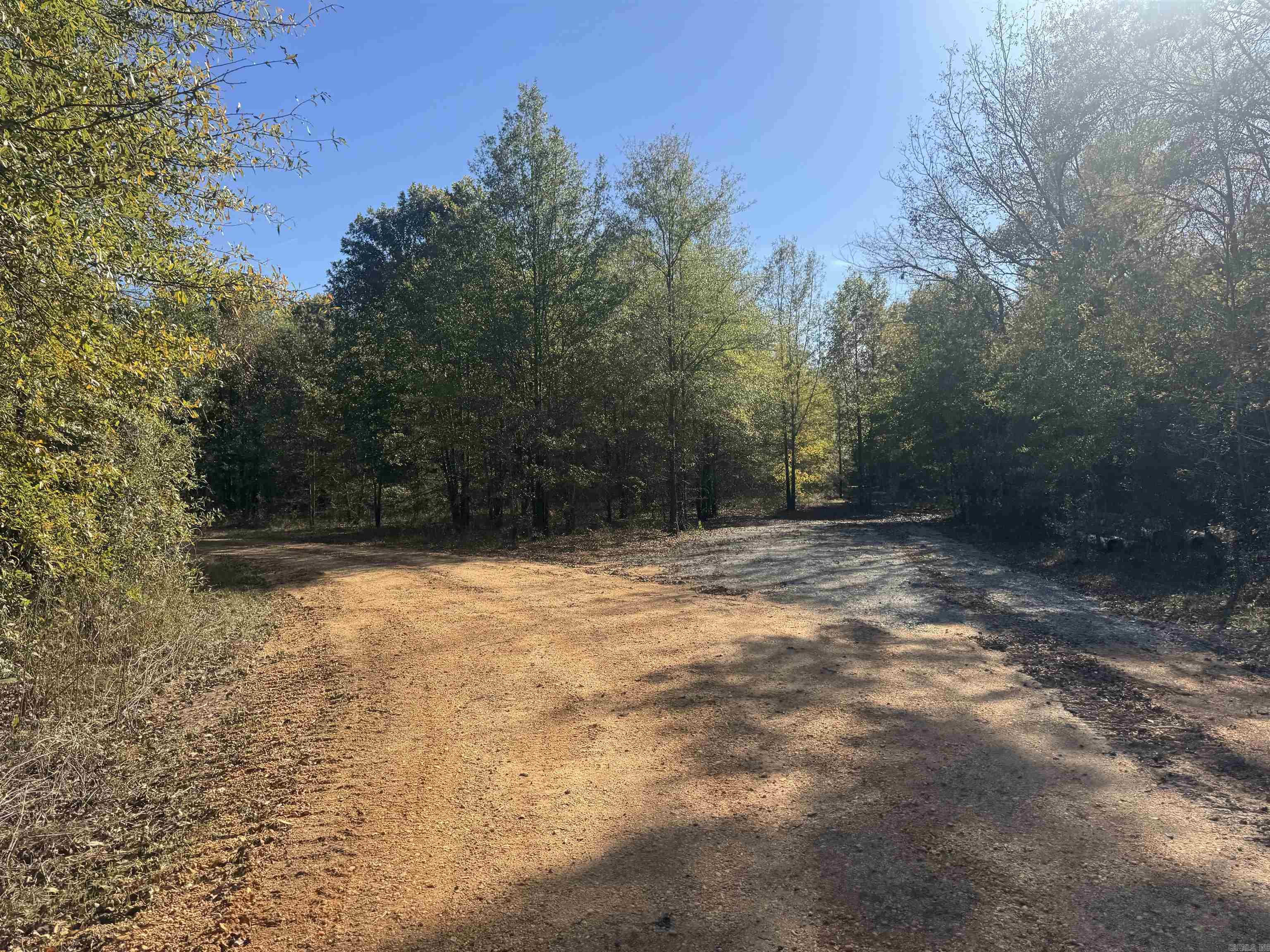 000 Alex Brown Rd Property Photo 22